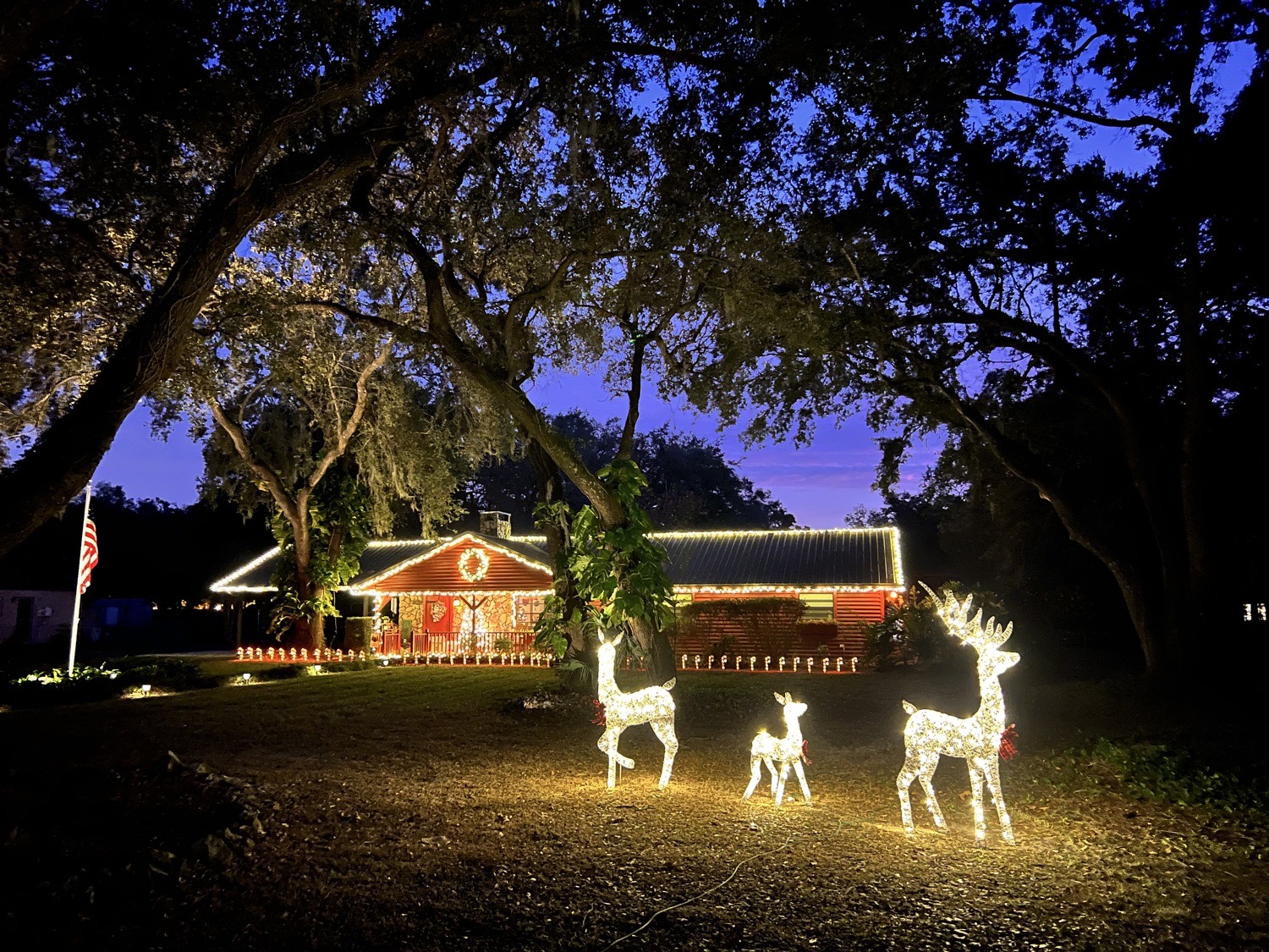 The Christmas Lodge, Christmas lights in Fruitland Park, FL (photo 2)