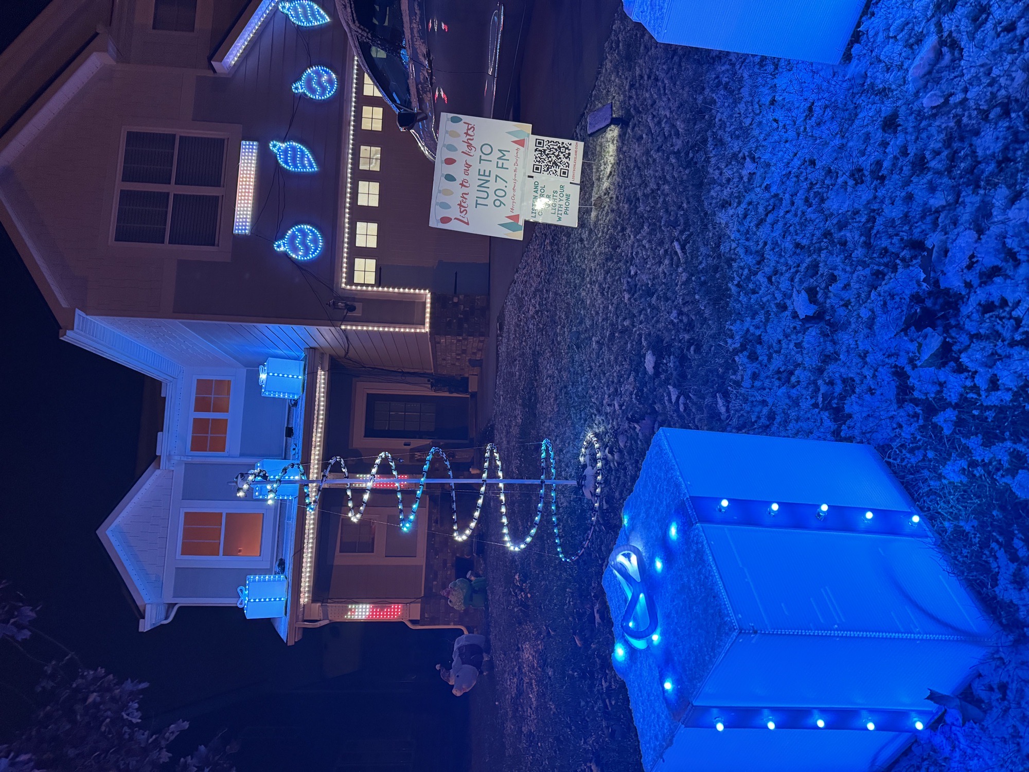 Lights on Lexi Lane, Christmas lights in Murfreesboro, TN (photo 2)