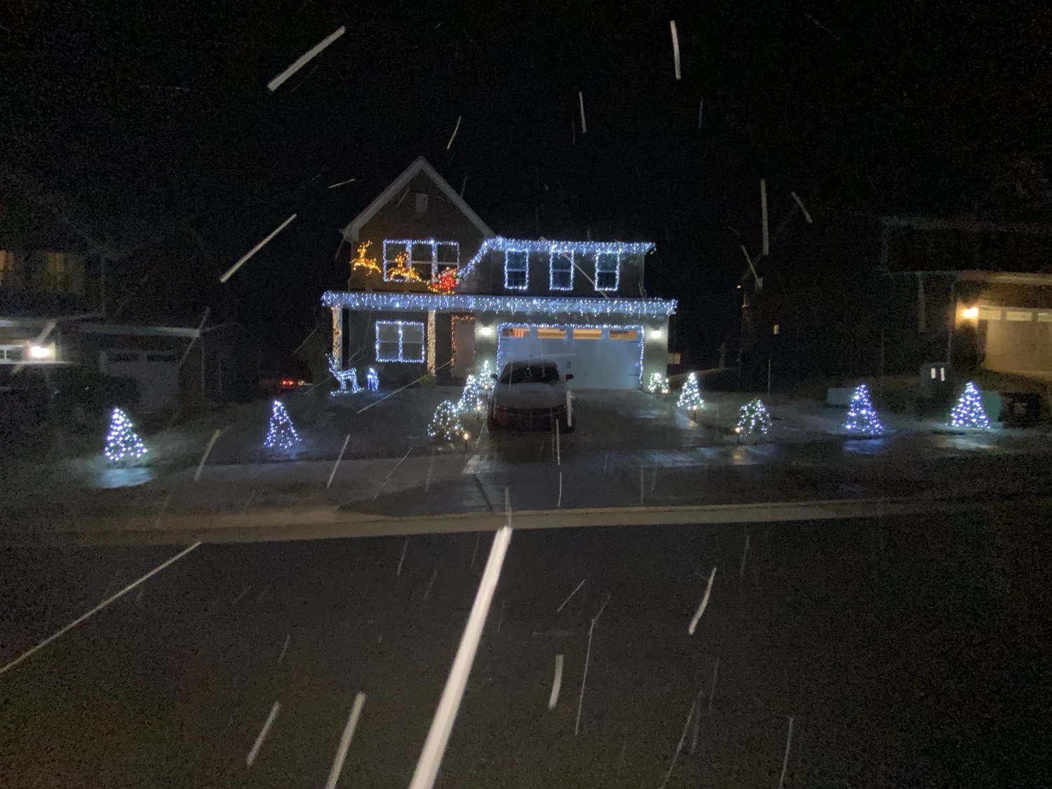 Very small Christmas light display, Christmas lights in Nashville, TN (photo 2)