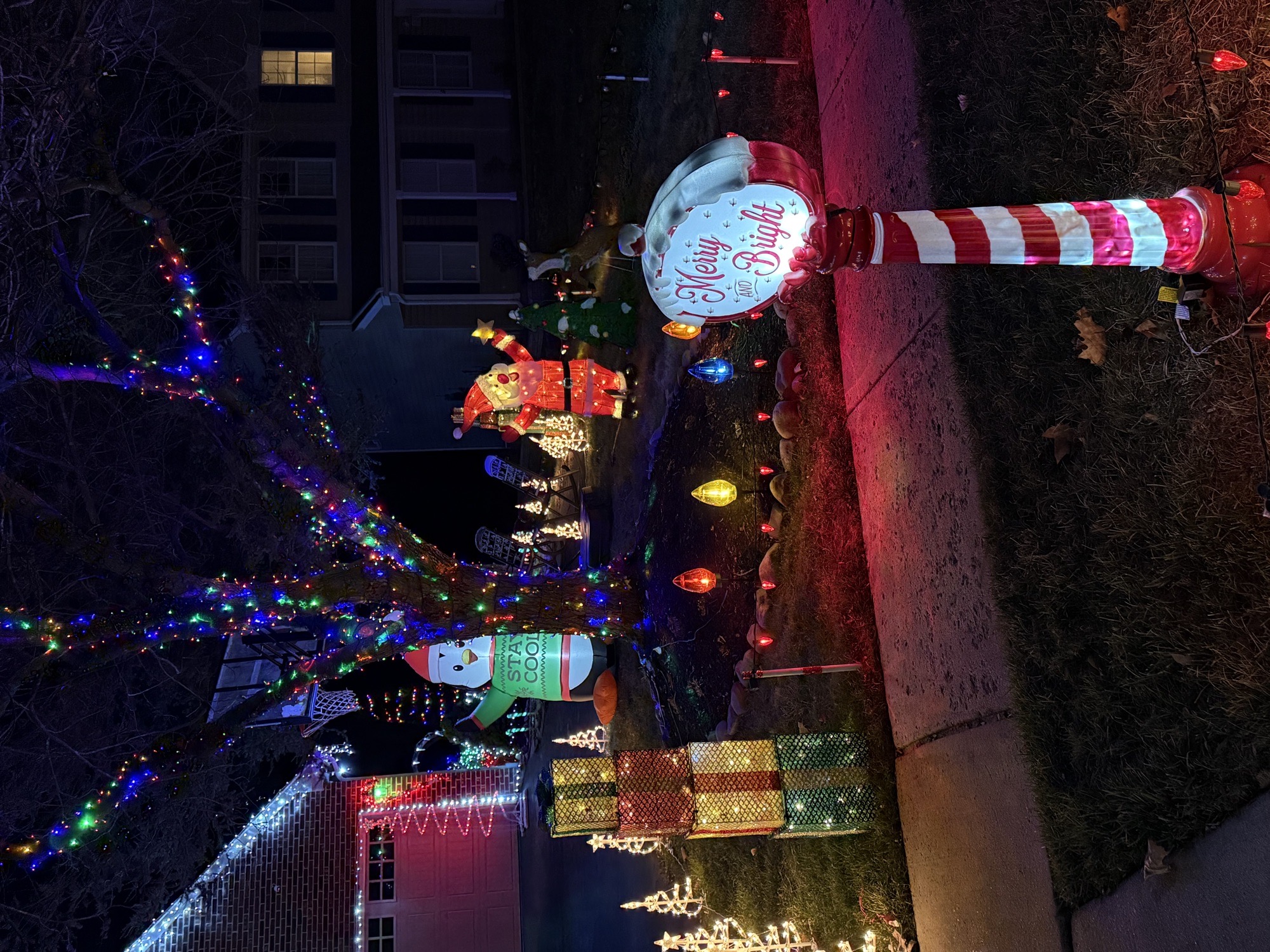 Woodsview Christmas Paradise!, Christmas lights in Garnet Valley, PA (photo 4)