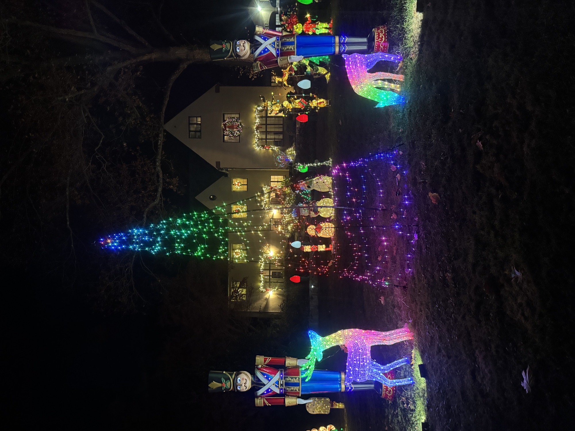 Miracle On Erwin, Christmas lights in Montclair, NJ (photo 2)