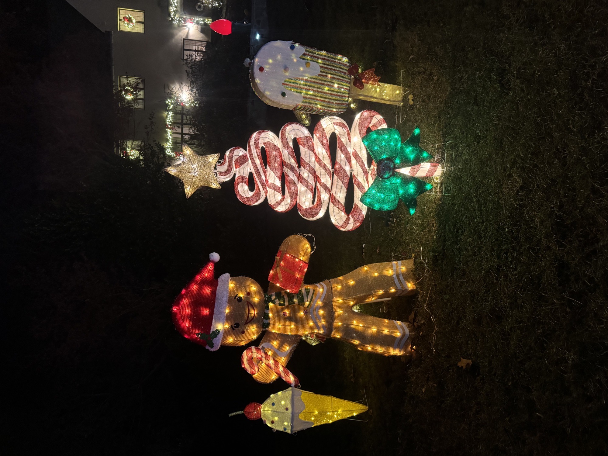 Miracle On Erwin, Christmas lights in Montclair, NJ (photo 3)