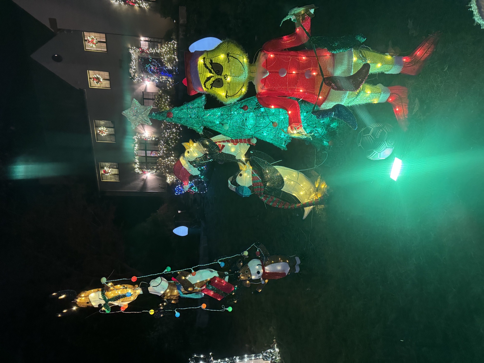 Miracle On Erwin, Christmas lights in Montclair, NJ (photo 4)