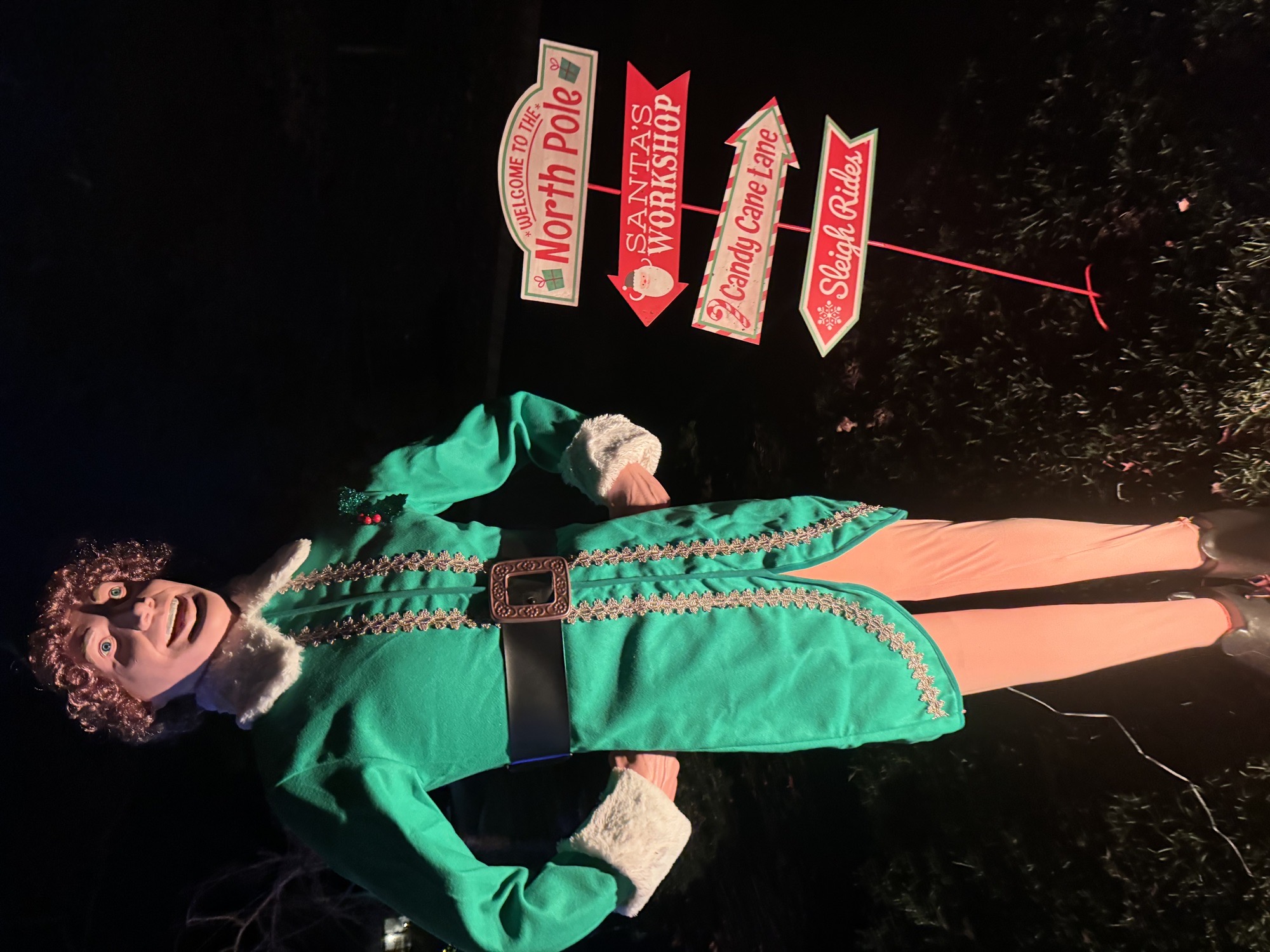 Miracle On Erwin, Christmas lights in Montclair, NJ (photo 5)