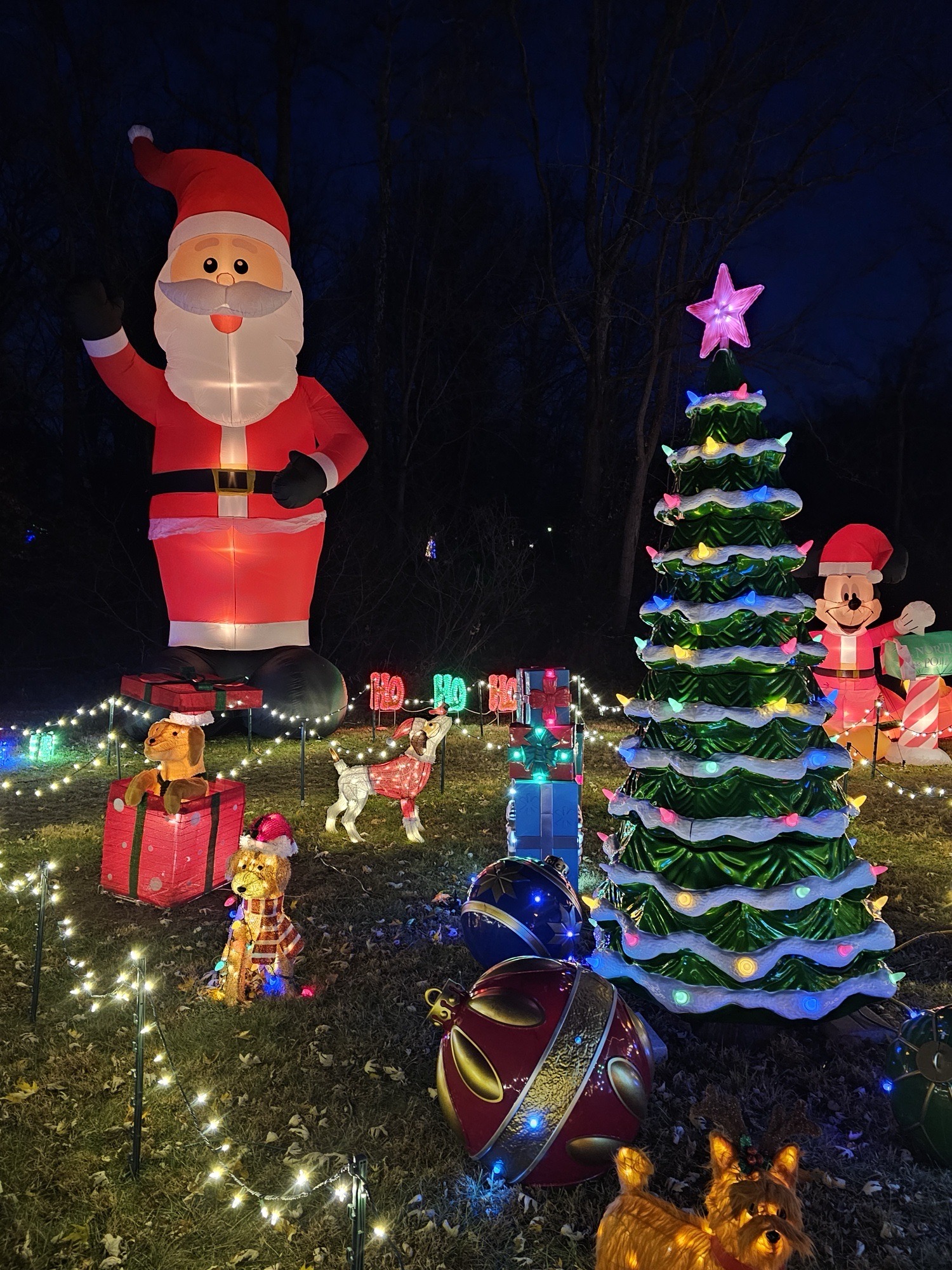 West Chester Christmas Light Display, Christmas lights in West Chester, PA (photo 2)