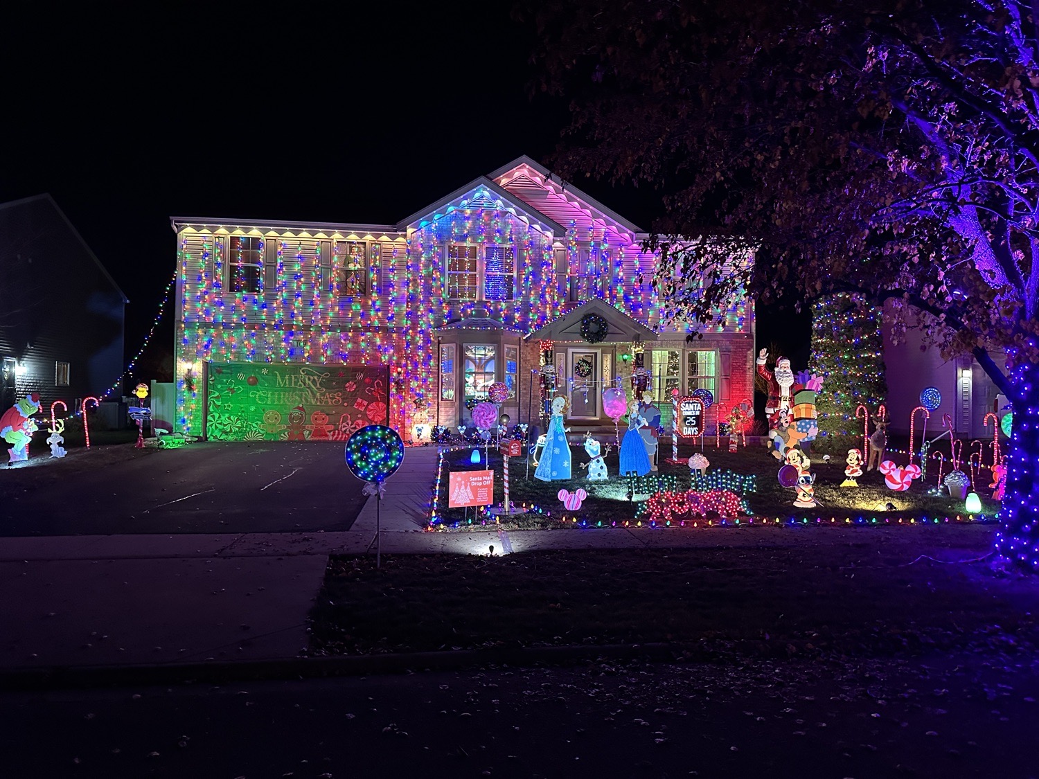 A Very Disney Christmas At William’s Winter Wonderland, Christmas lights in Shorewood, IL (photo 1)