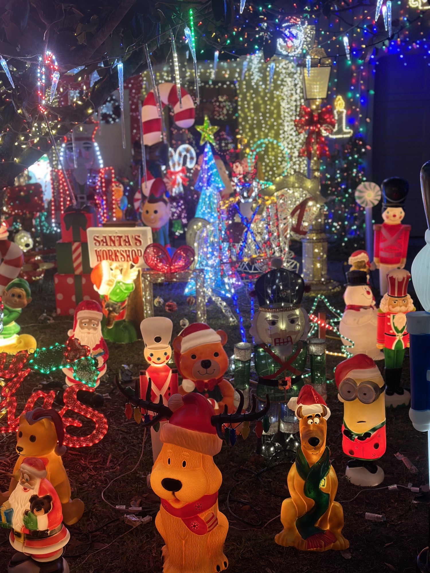 A Whisper Lakes Wonderland, Christmas lights in Orlando, FL (photo 2)