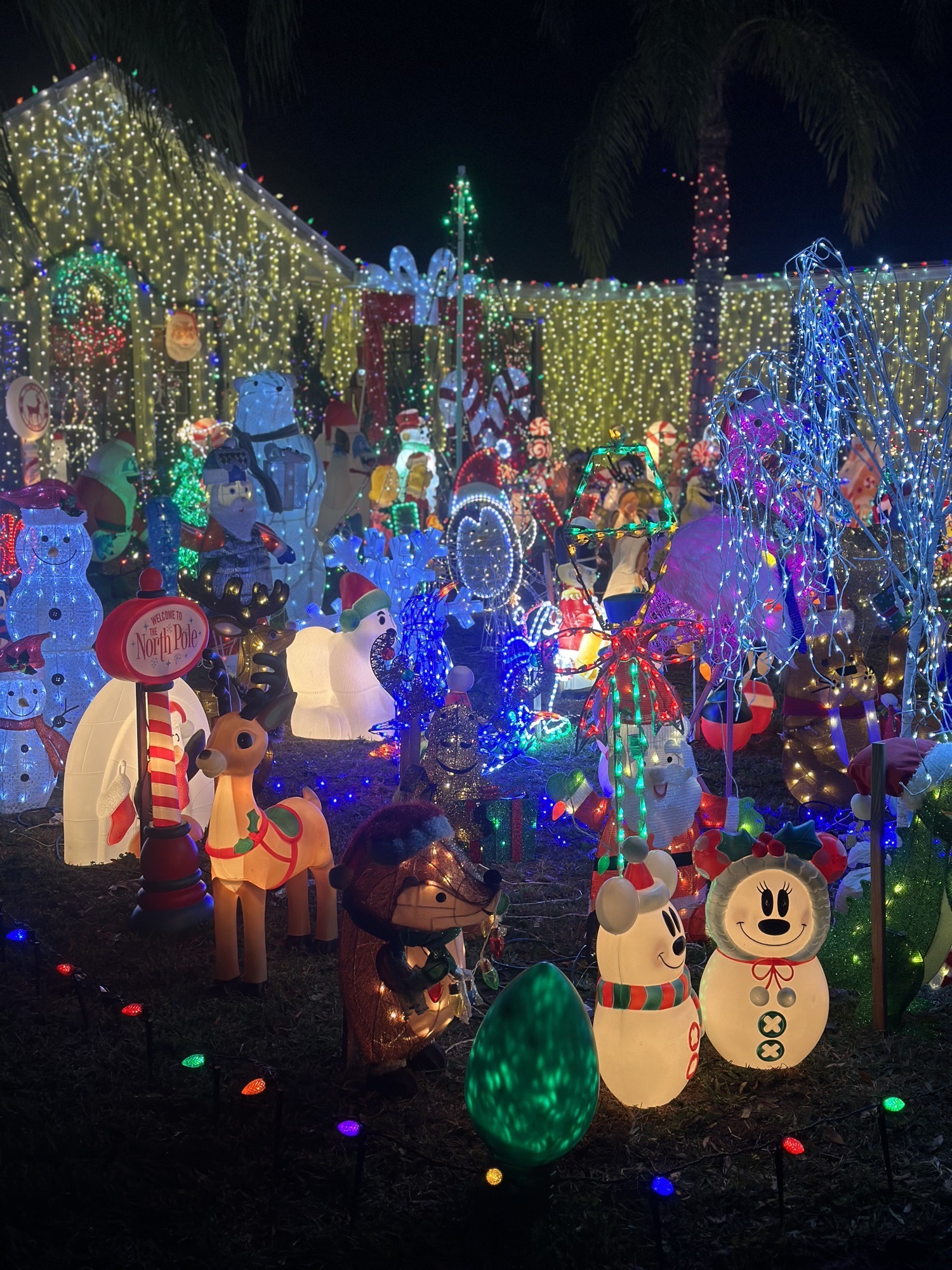 A Whisper Lakes Wonderland, Christmas lights in Orlando, FL (photo 3)