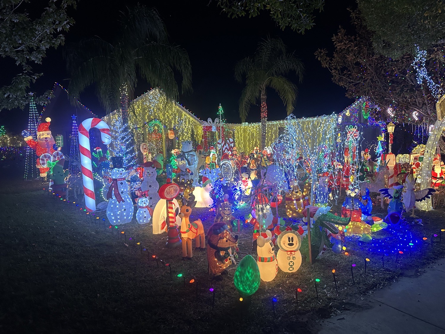 A Whisper Lakes Wonderland, Christmas lights in Orlando, FL (photo 4)