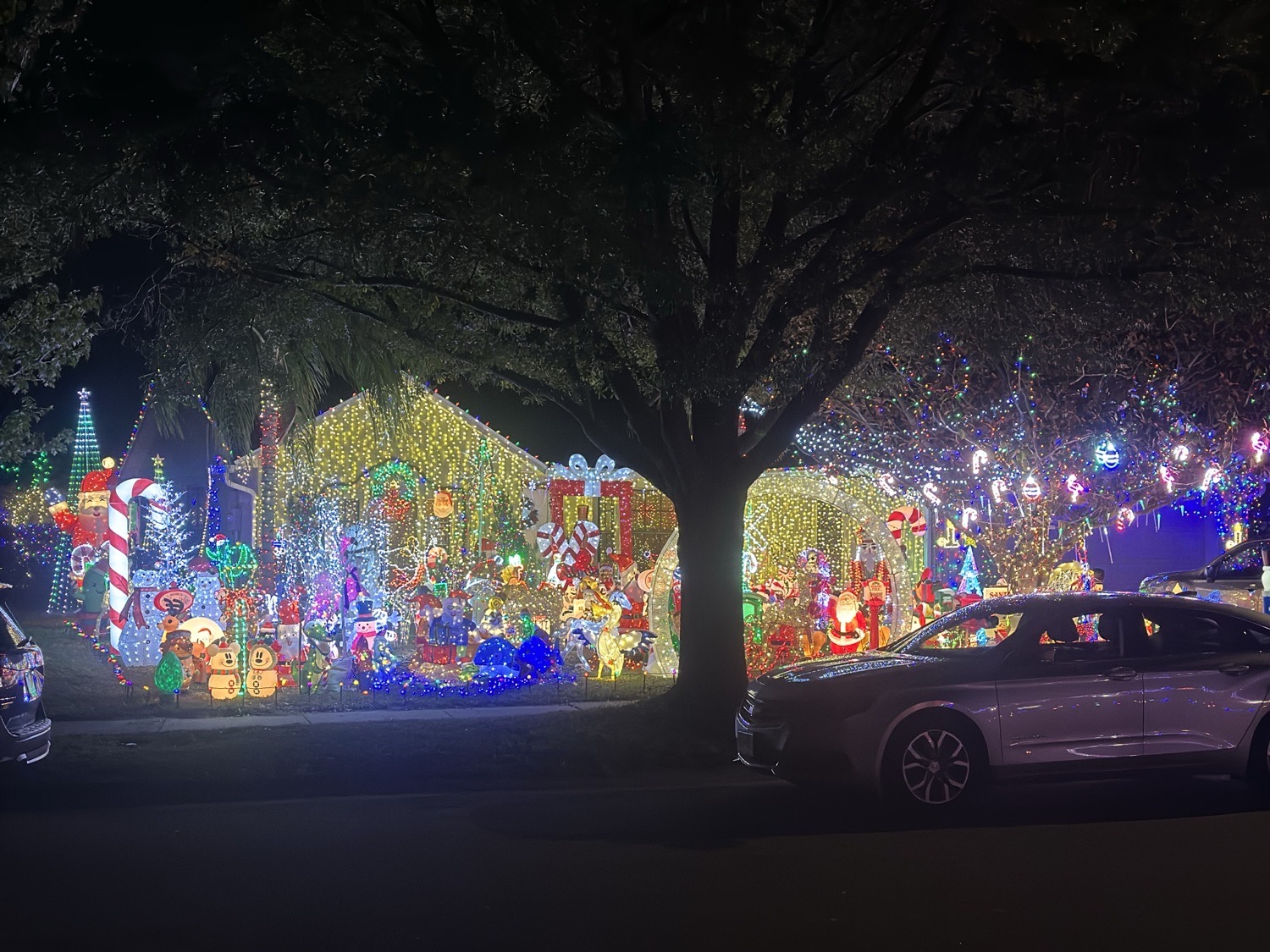A Whisper Lakes Wonderland, Christmas lights in Orlando, FL (photo 5)