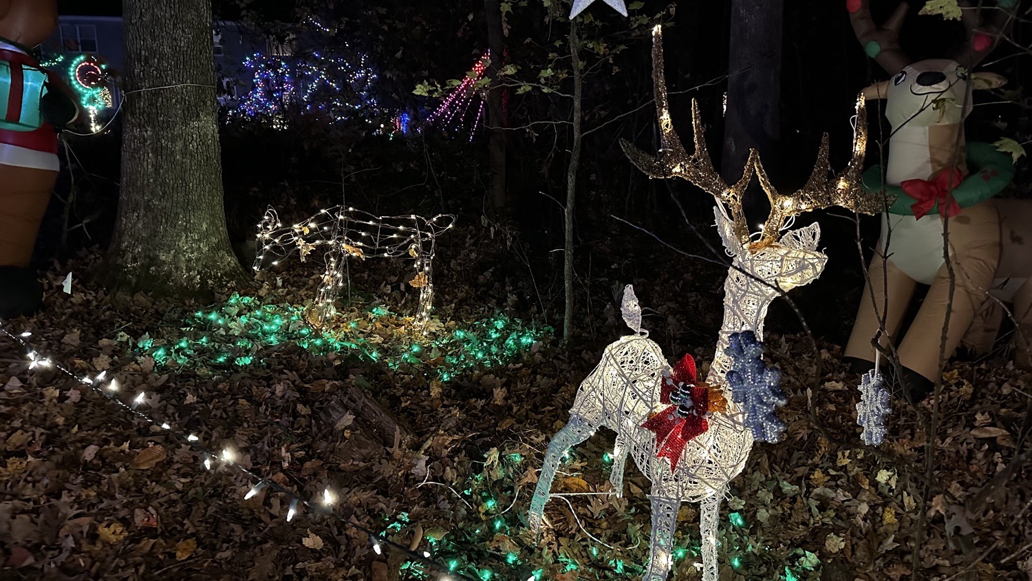 Josh’s Lights, Christmas lights in Willow Spring, NC (photo 2)
