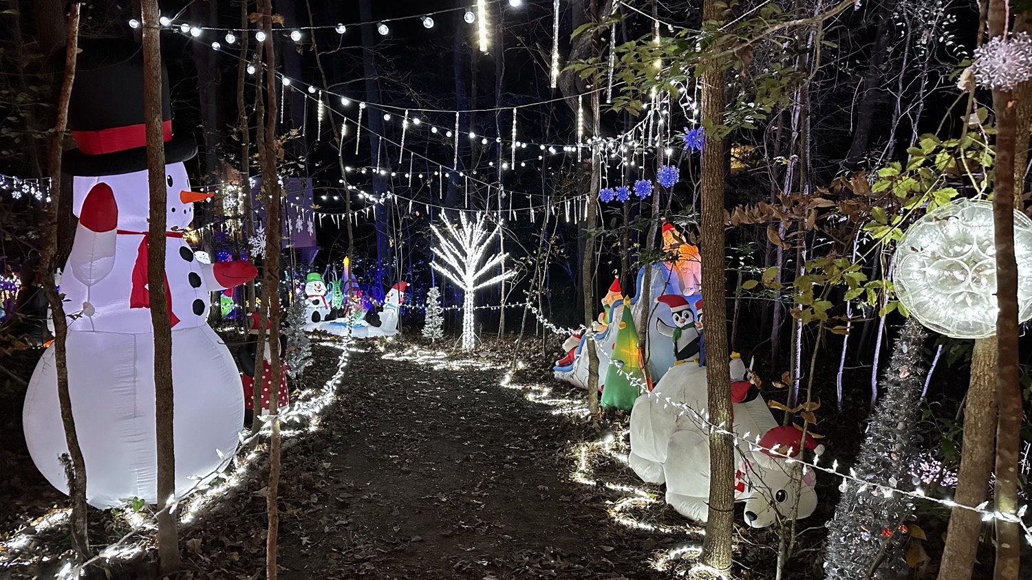 Josh’s Lights, Christmas lights in Willow Spring, NC (photo 3)