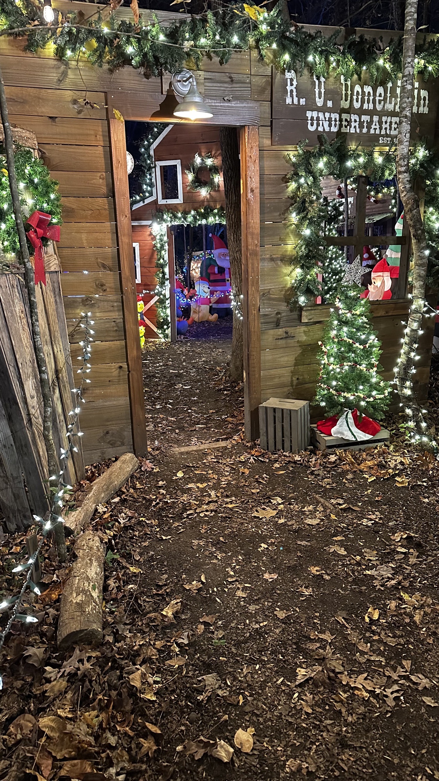 Josh’s Lights, Christmas lights in Willow Spring, NC (photo 4)