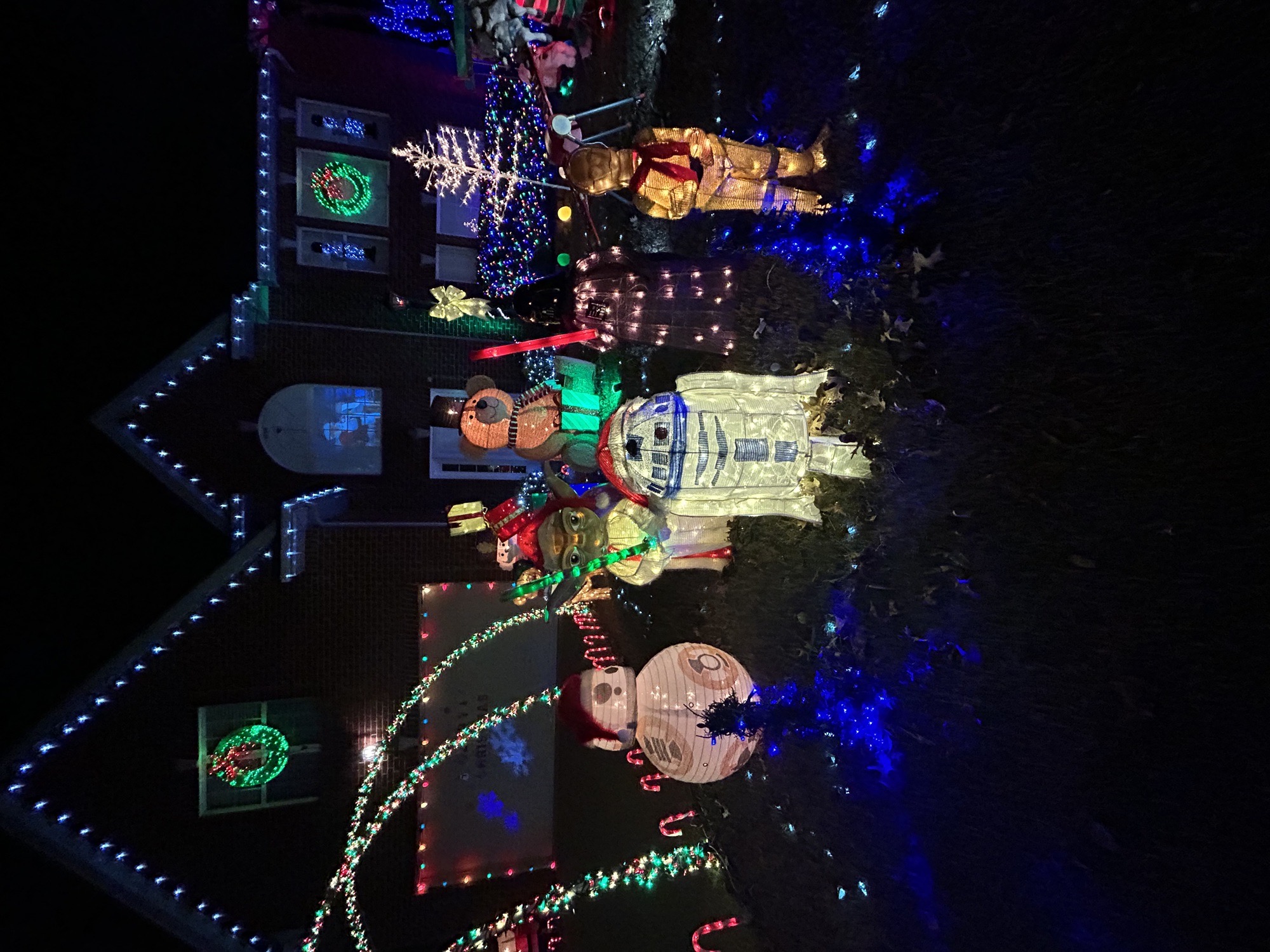 Akins Holiday House, Christmas lights in Mount Juliet, TN (photo 2)