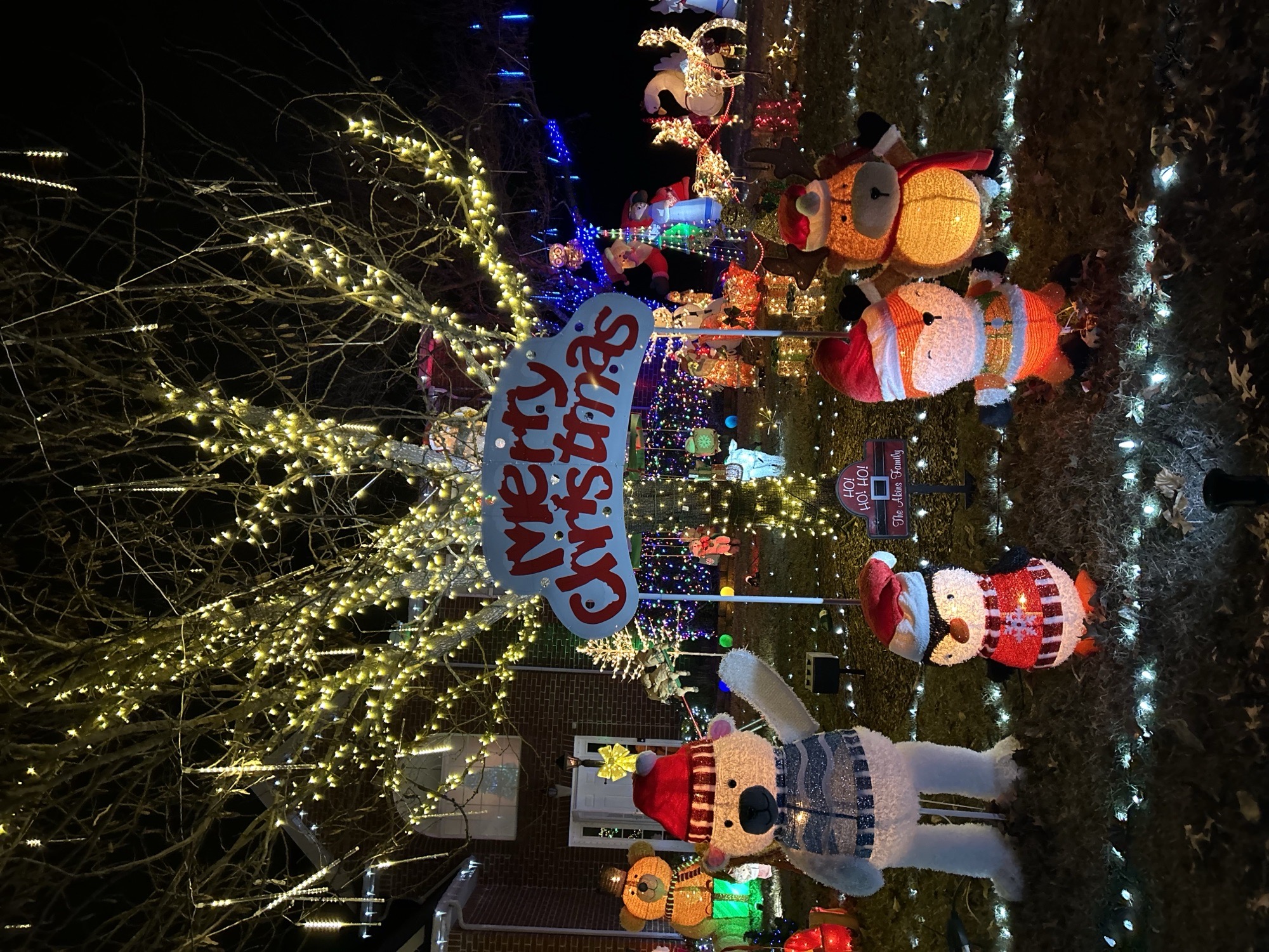 Akins Holiday House, Christmas lights in Mount Juliet, TN (photo 4)