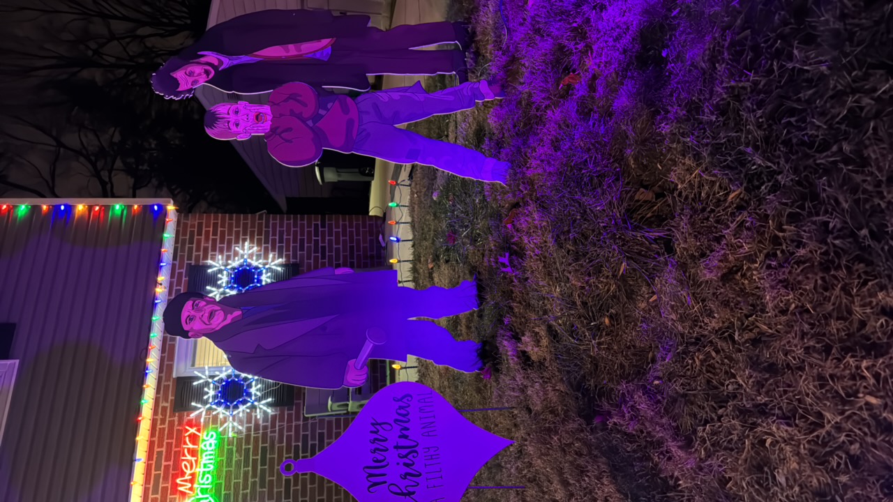 Zapper Residence, Christmas lights in Philadelphia, PA (photo 3)