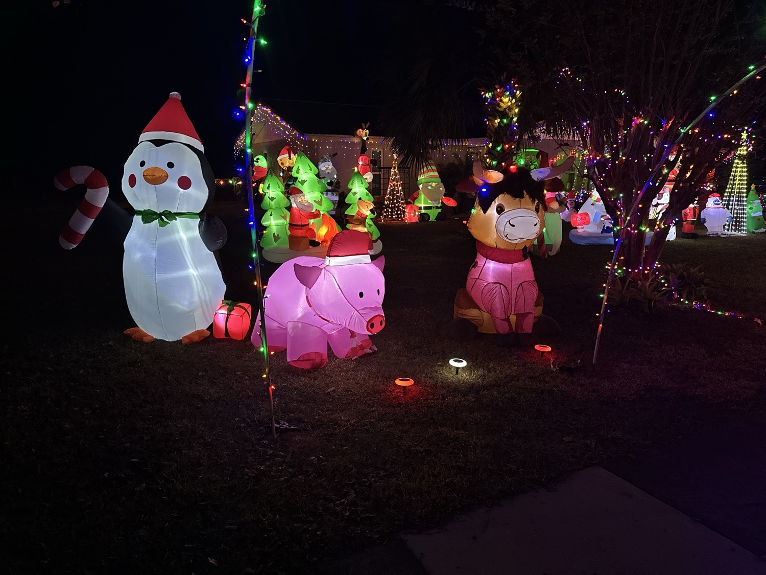 Wrights Jolly Christmas, Christmas lights in Fruitland Park, FL (photo 2)