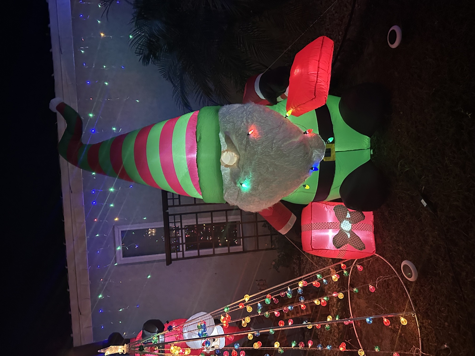 Wrights Jolly Christmas, Christmas lights in Fruitland Park, FL (photo 4)