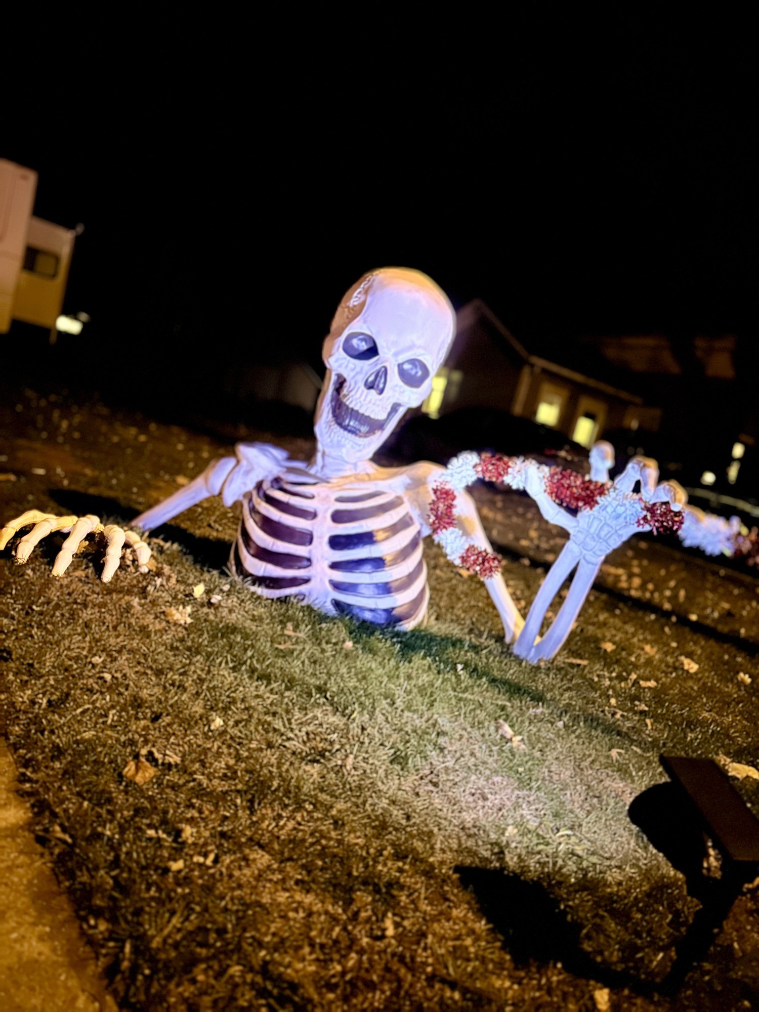 Litchfield Holiday Boneyard, Christmas lights in Clinton, MI (photo 1)