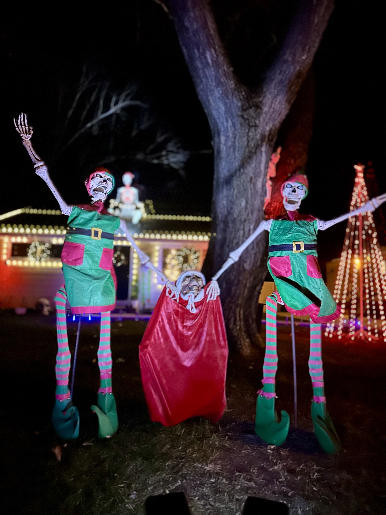 Litchfield Holiday Boneyard, Christmas lights in Clinton, MI (photo 2)