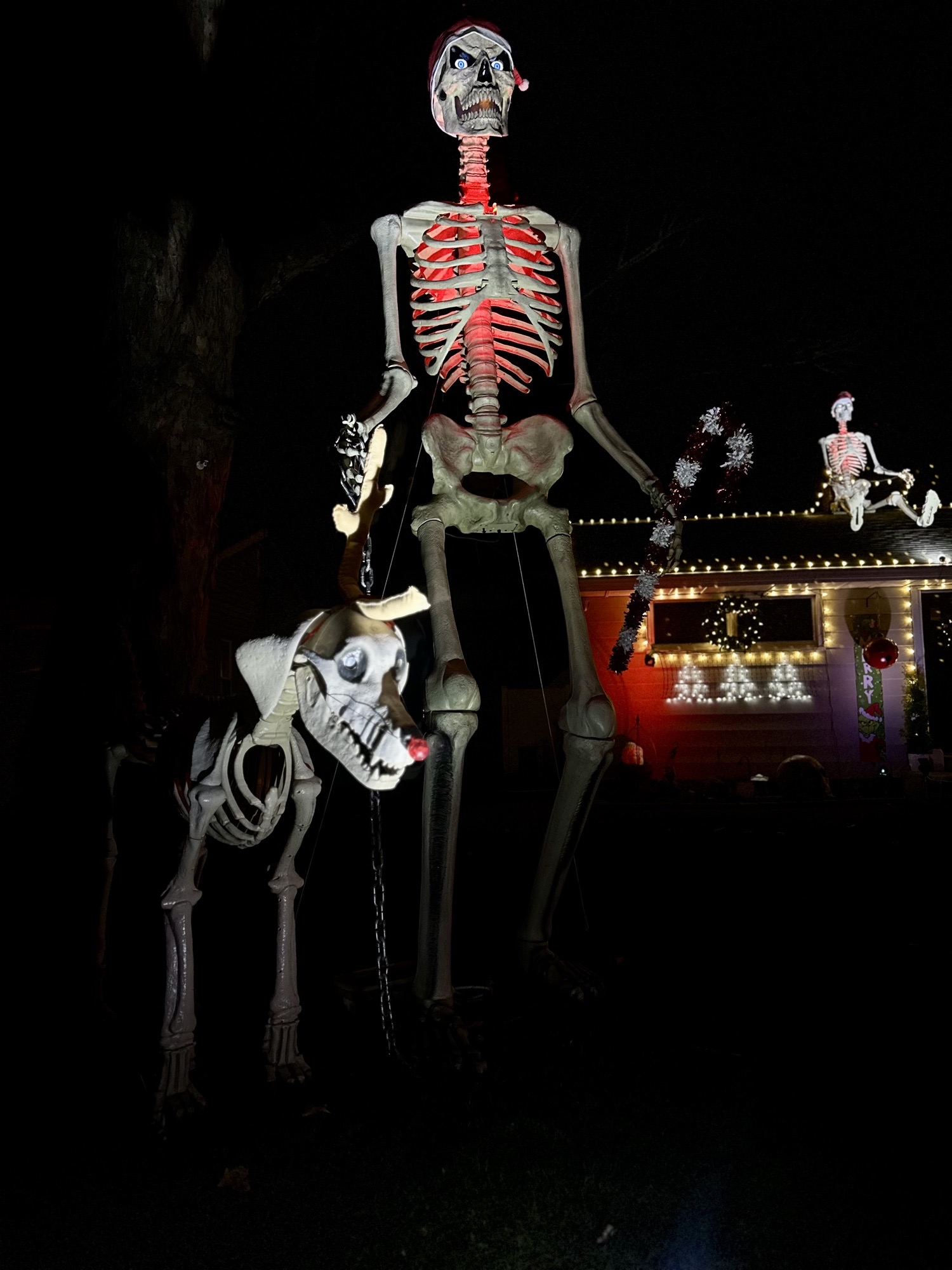Litchfield Holiday Boneyard, Christmas lights in Clinton, MI (photo 4)