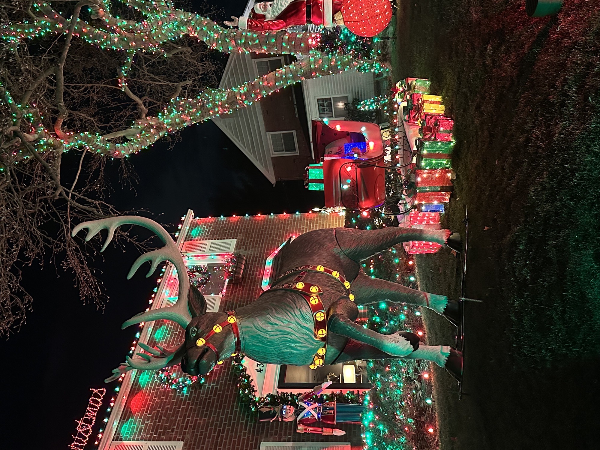 A Briarhill Christmas, Christmas lights in Springfield, PA (photo 5)