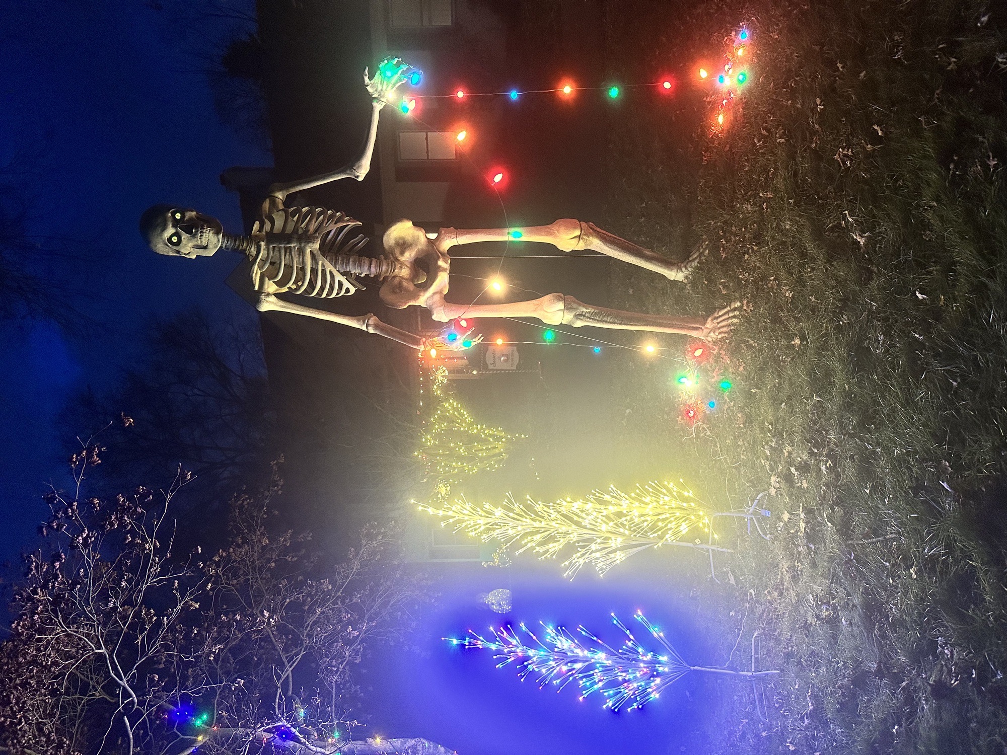 Christmas with the Kane’s!, Christmas lights in West Chester, PA (photo 1)