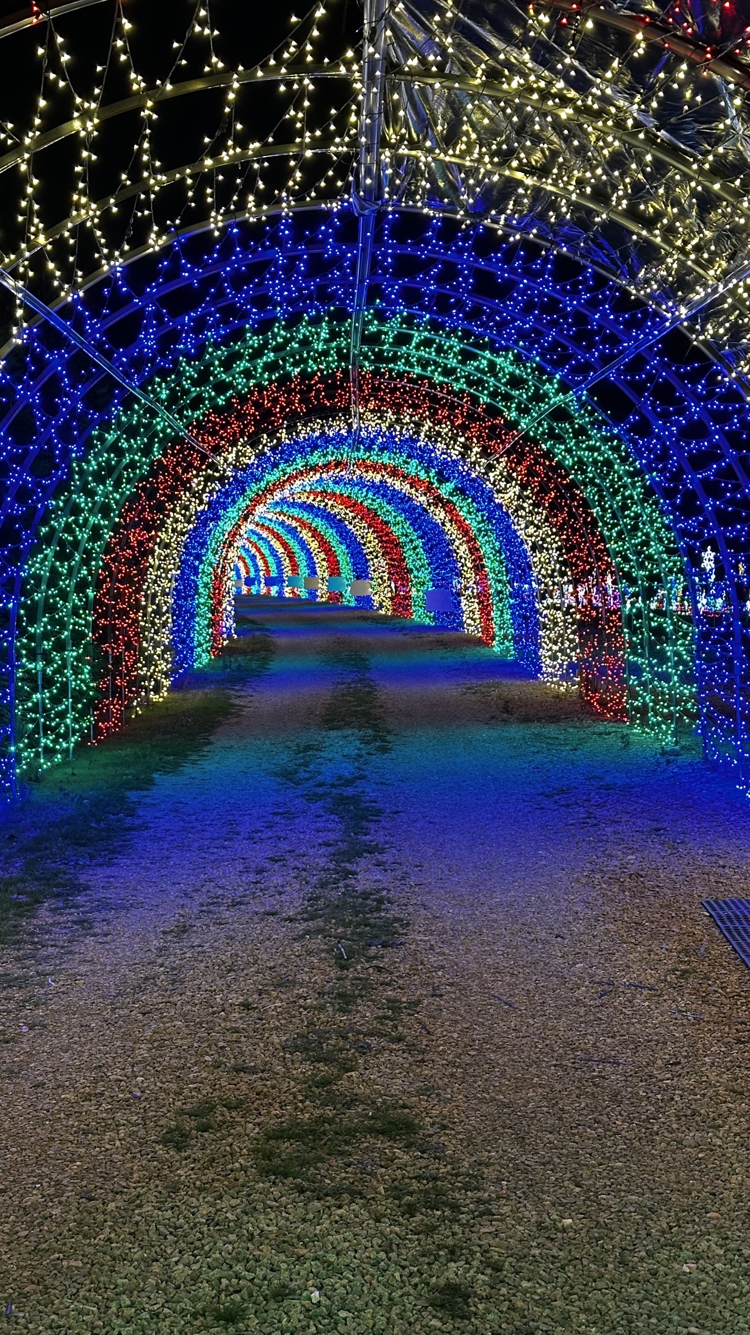 Fieldstream Farm Lights, Christmas lights in Raleigh, NC (photo 1)