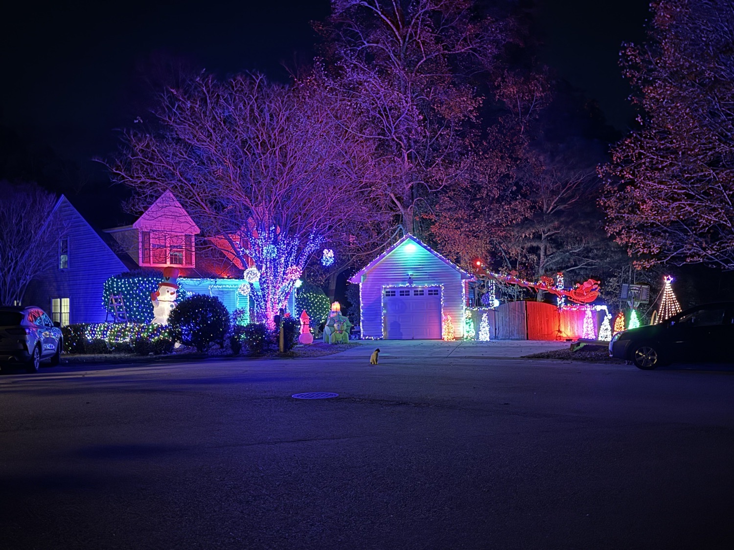 Miller House, Christmas lights in Suffolk, VA (photo 1)