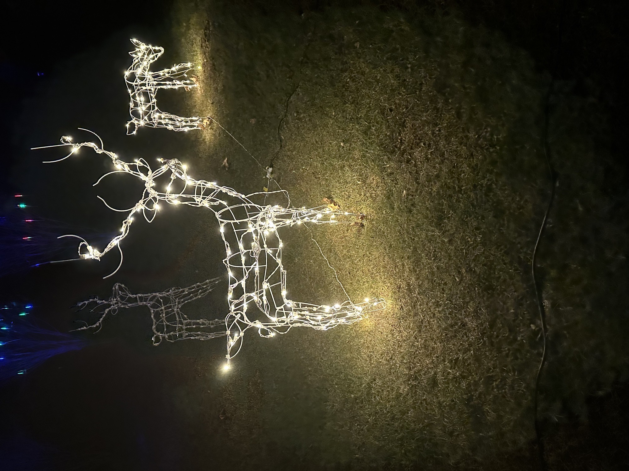 Merry Christmas!, Christmas lights in Phoenixville, PA (photo 5)