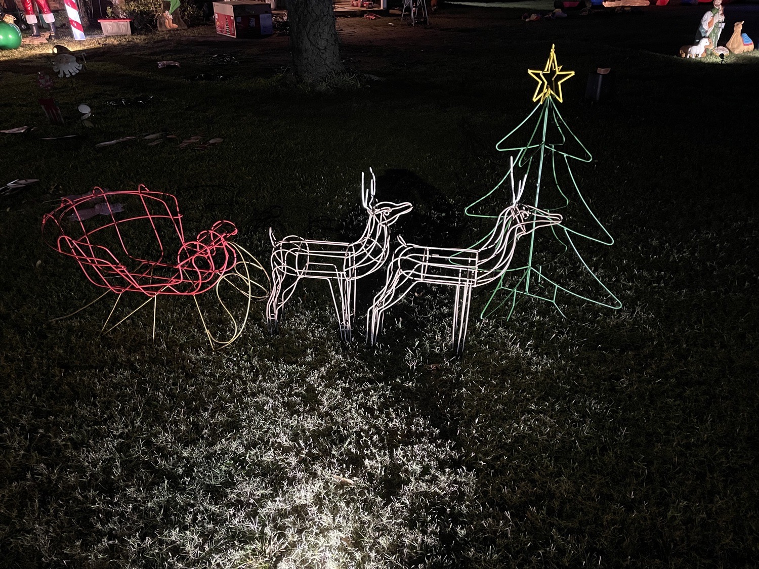 Lit Up In Lively, Christmas lights in Scurry, TX (photo 4)