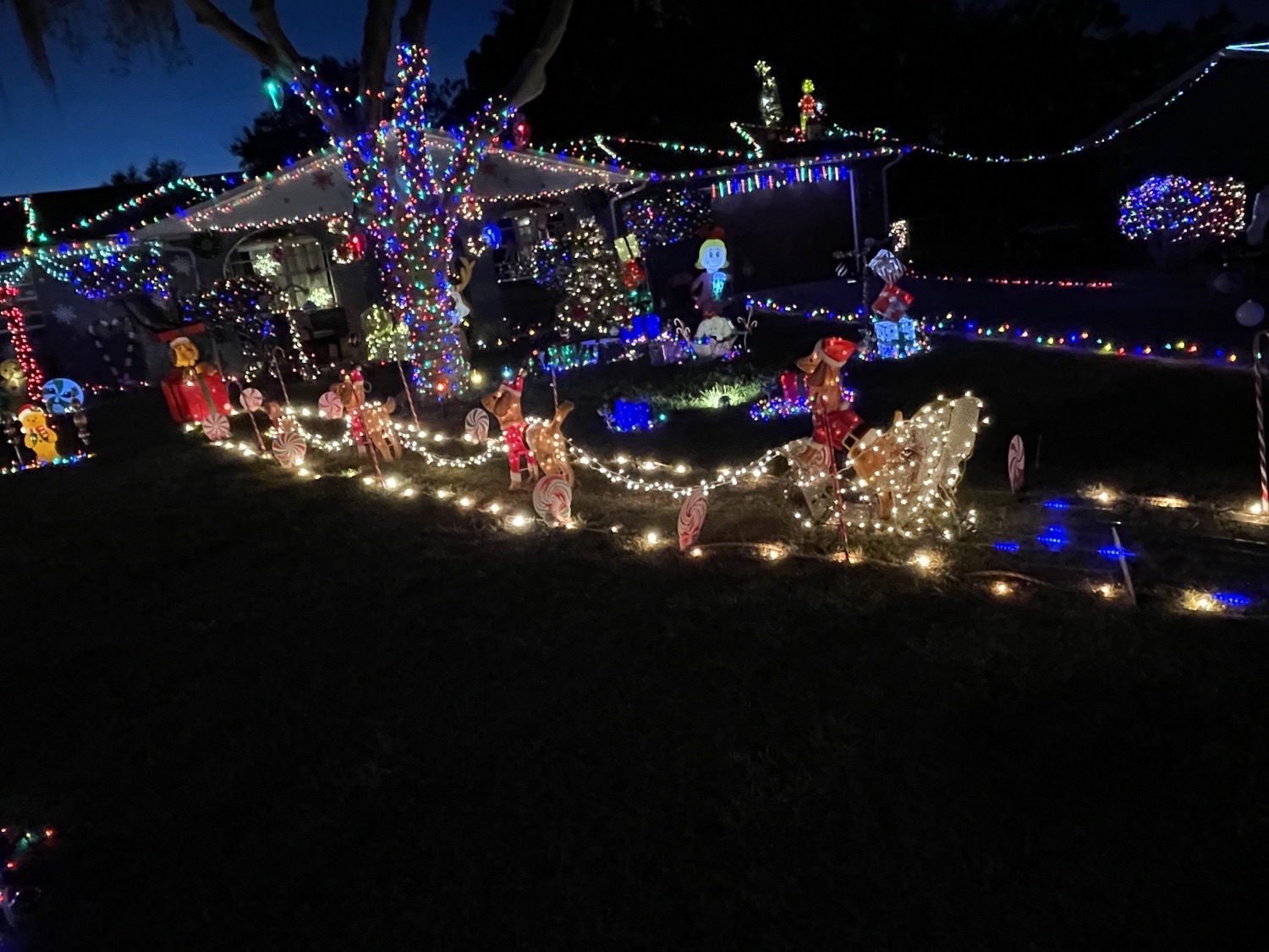 Holy Grinchmas, Christmas lights in Fruitland Park, FL (photo 2)