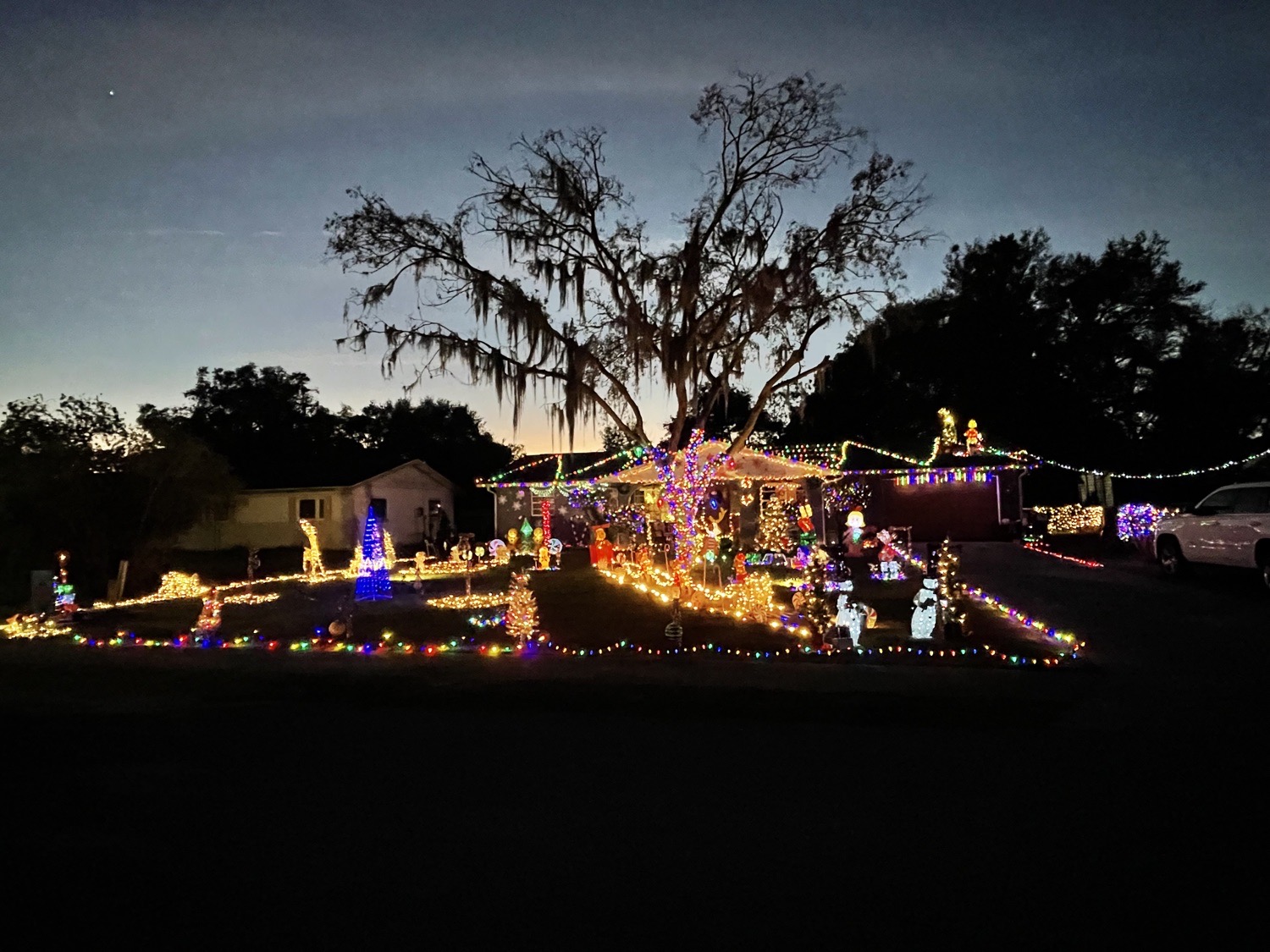 Holy Grinchmas, Christmas lights in Fruitland Park, FL (photo 3)