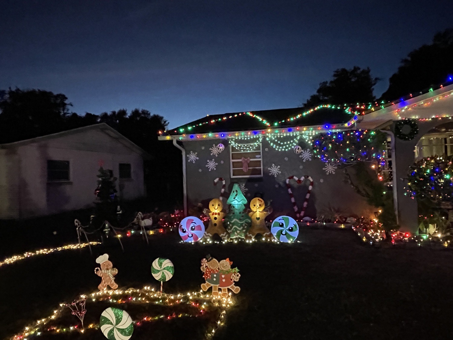 Holy Grinchmas, Christmas lights in Fruitland Park, FL (photo 4)