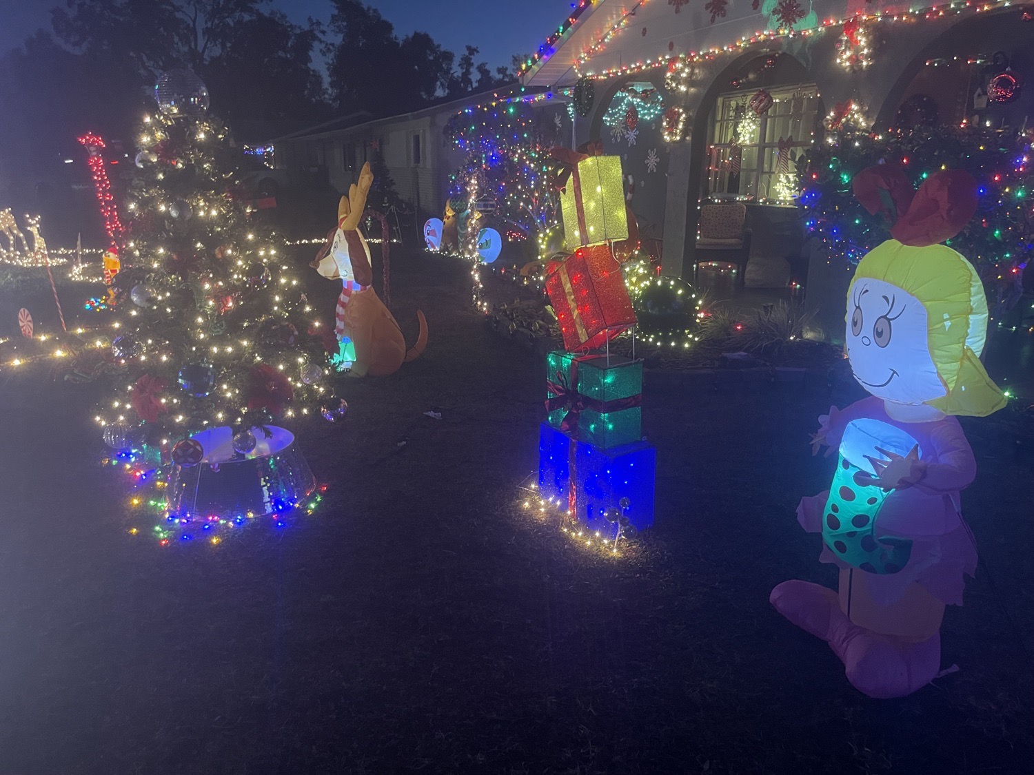 Holy Grinchmas, Christmas lights in Fruitland Park, FL (photo 5)