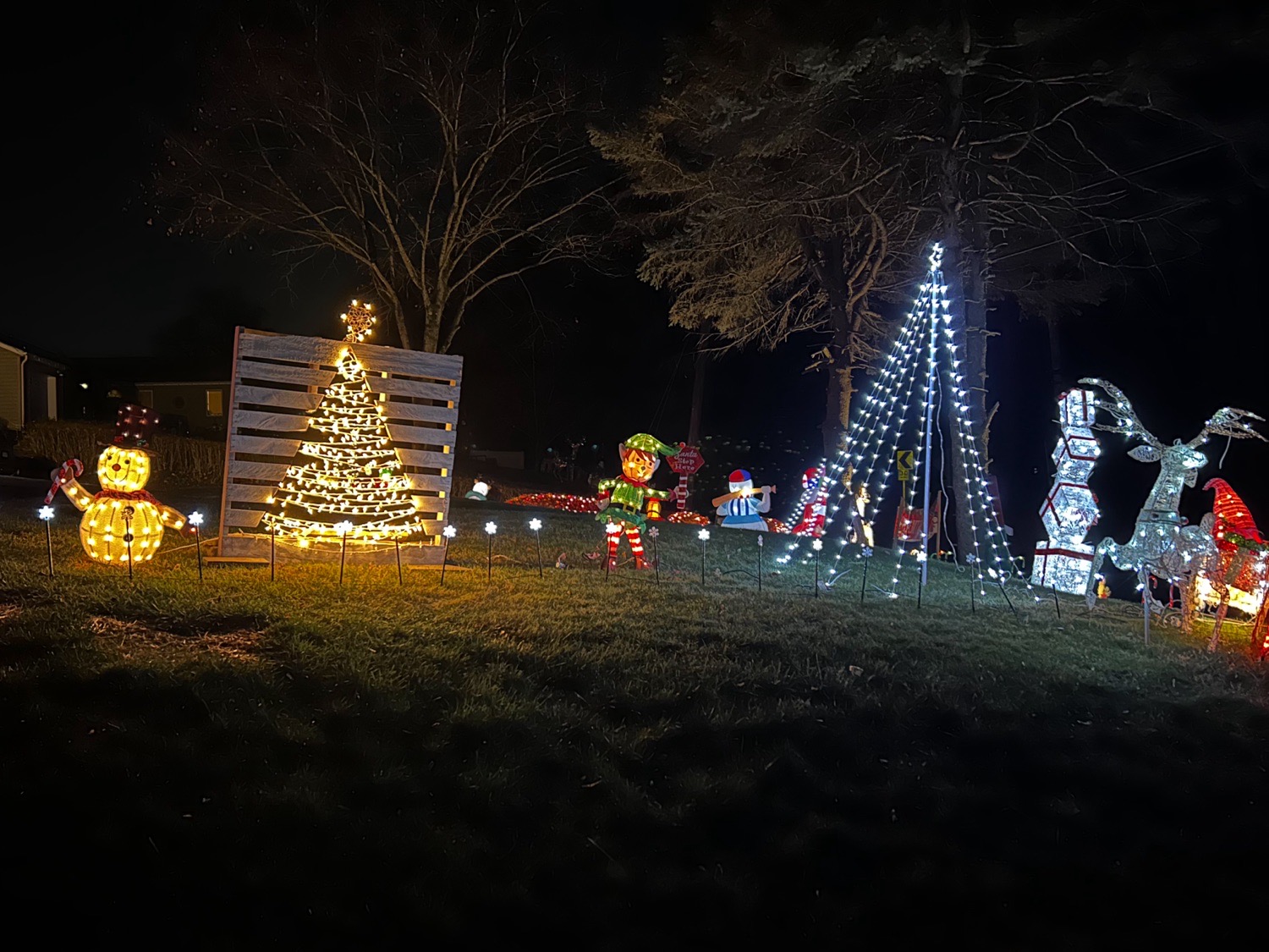 N Ridley Creek Rd, Christmas lights in Media, PA (photo 2)