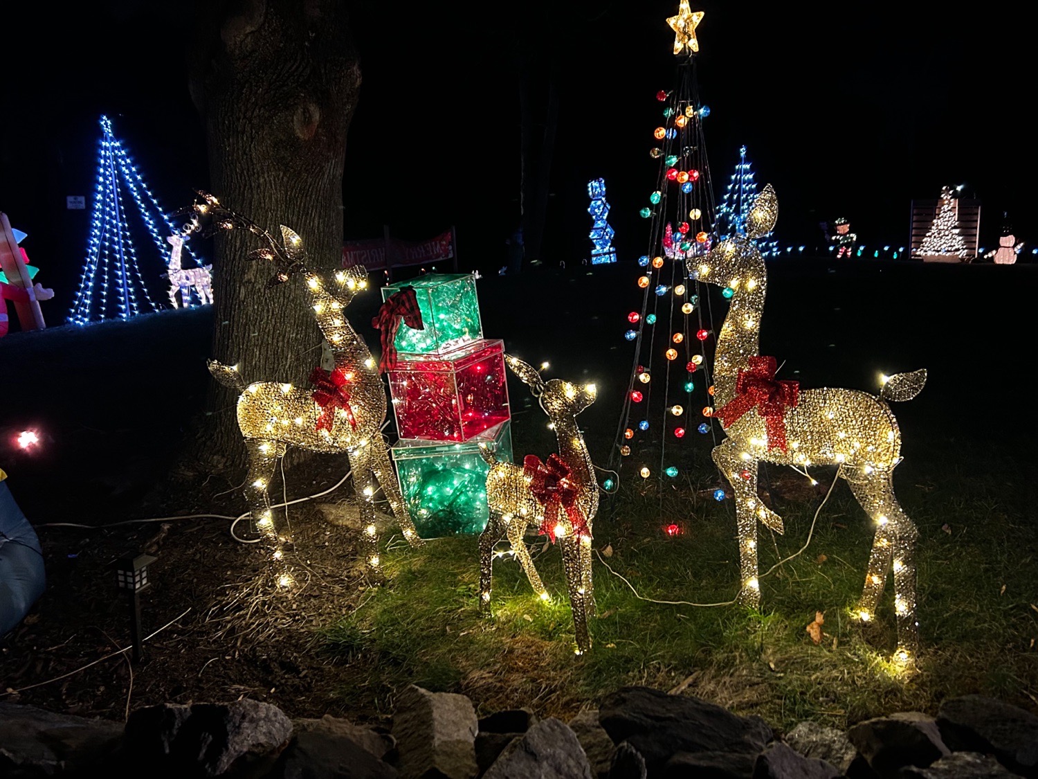 N Ridley Creek Rd, Christmas lights in Media, PA (photo 4)
