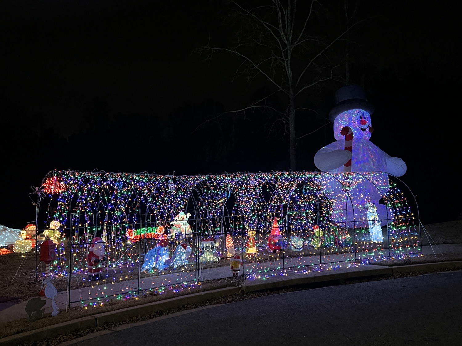 Reiniche Christmas Wonderland, Christmas lights in Auburn, GA (photo 1)