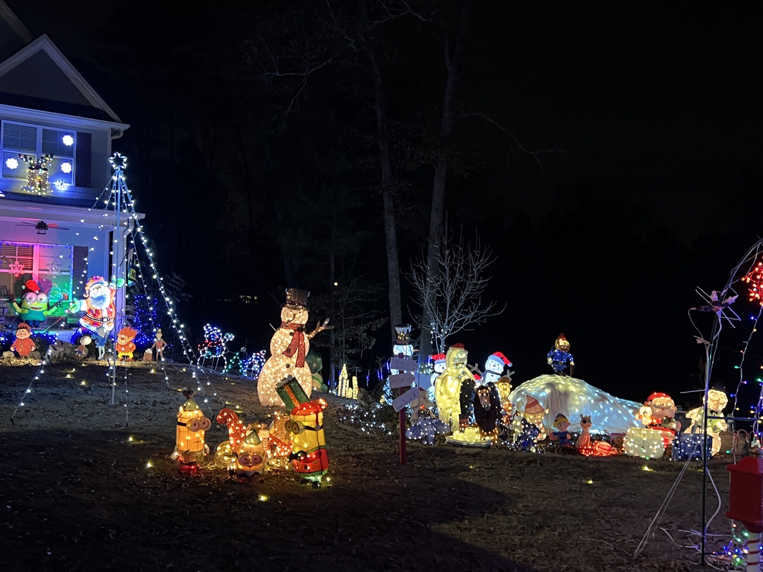 Reiniche Christmas Wonderland, Christmas lights in Auburn, GA (photo 2)