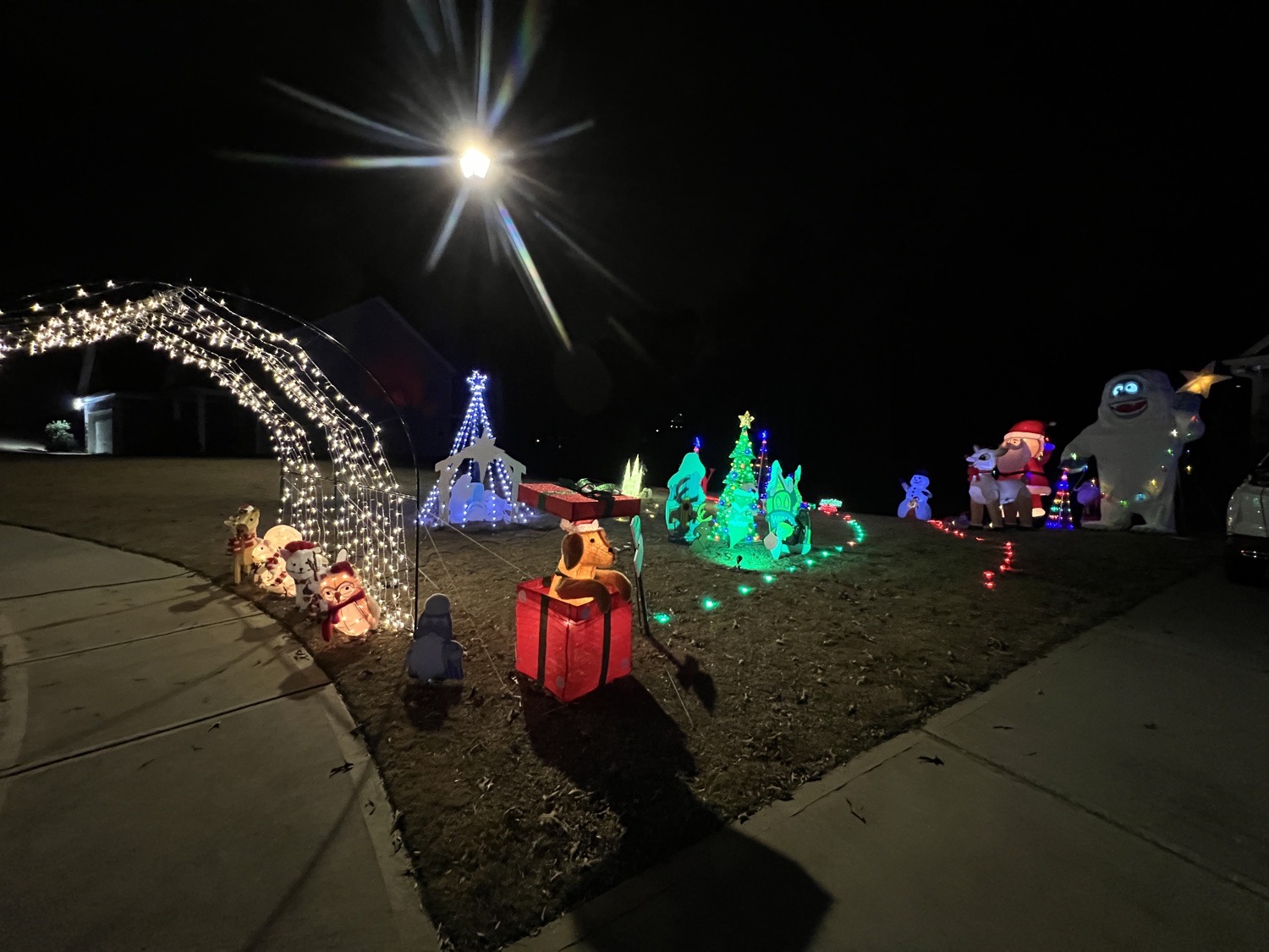 Reiniche Christmas Wonderland, Christmas lights in Auburn, GA (photo 3)