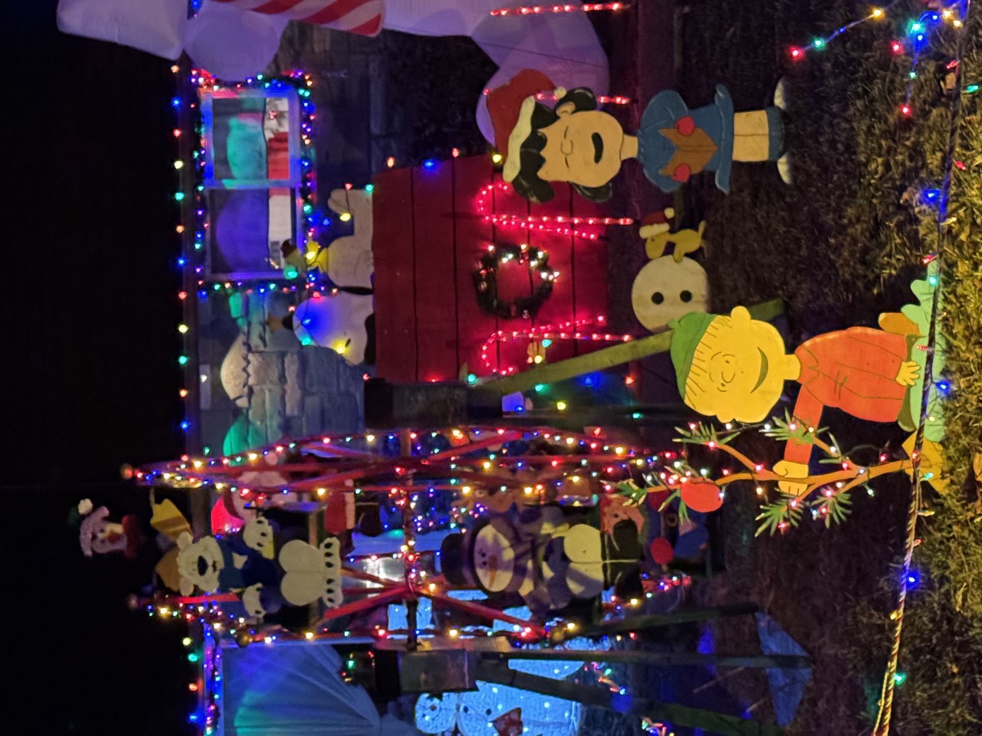 Reams Classic Christmas Shows, Christmas lights in Levittown, PA (photo 1)