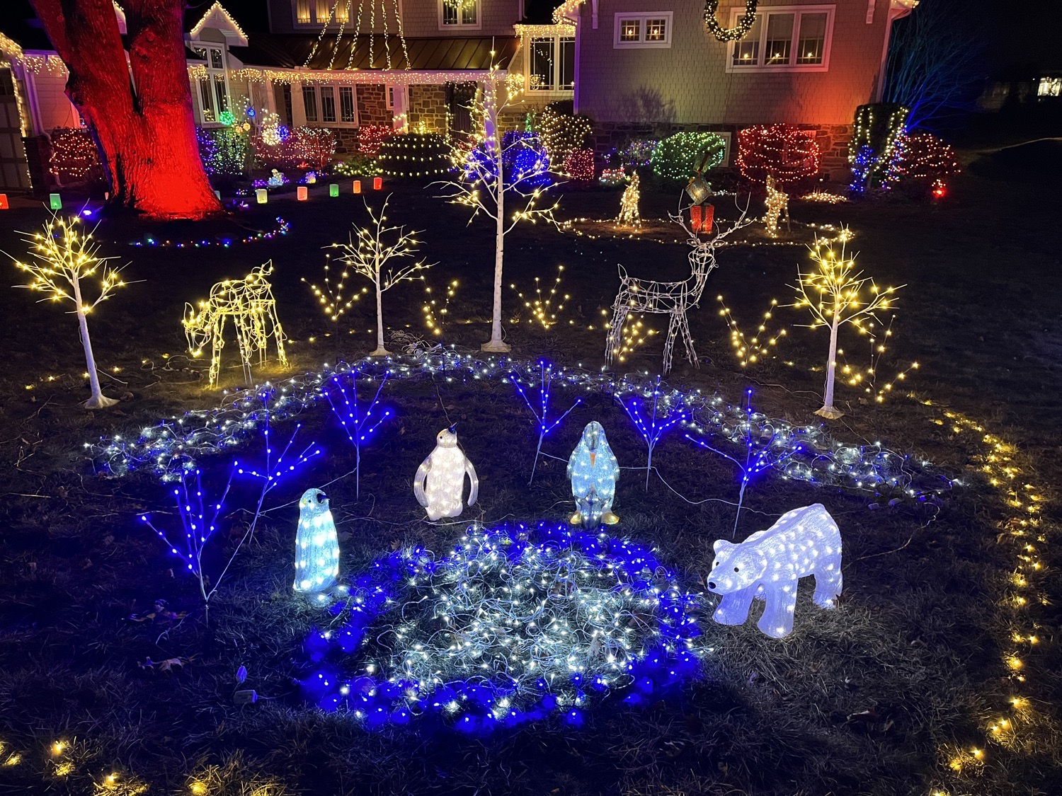 Villanova Winter Wonderland, Christmas lights in Villanova, PA (photo 2)