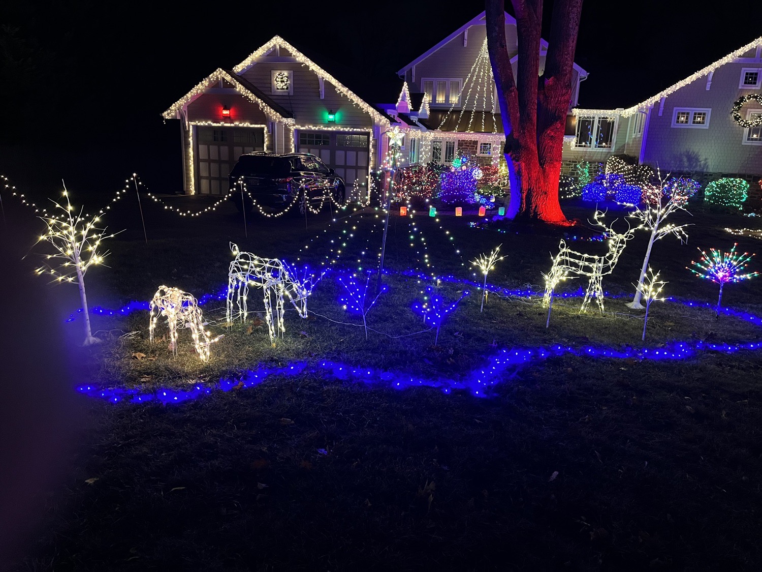 Villanova Winter Wonderland, Christmas lights in Villanova, PA (photo 5)