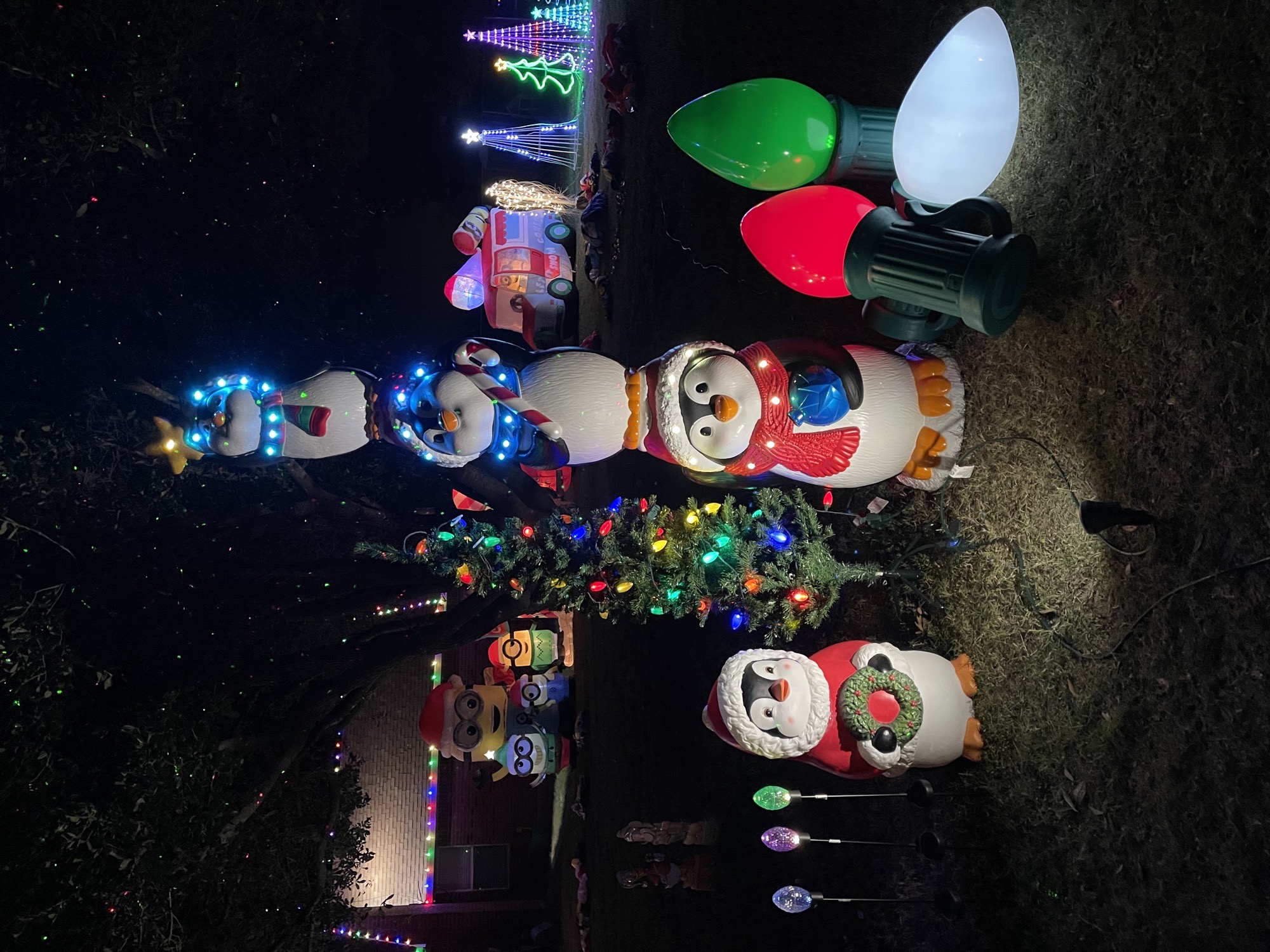 Lit Up In Lively, Christmas lights in Scurry, TX (photo 2)
