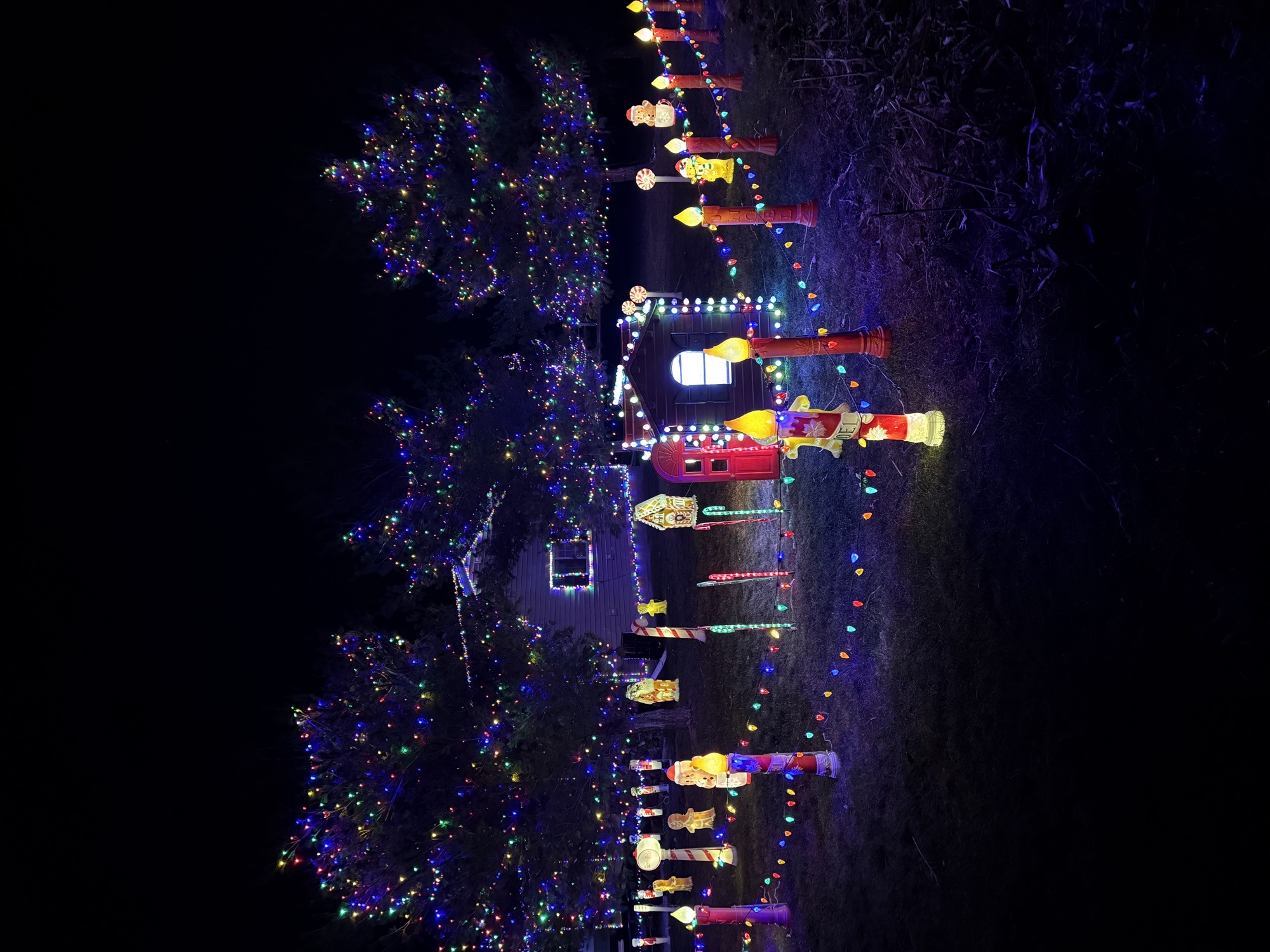 The Gillen Family Christmas Display, Christmas lights in Tuscola, IL (photo 2)