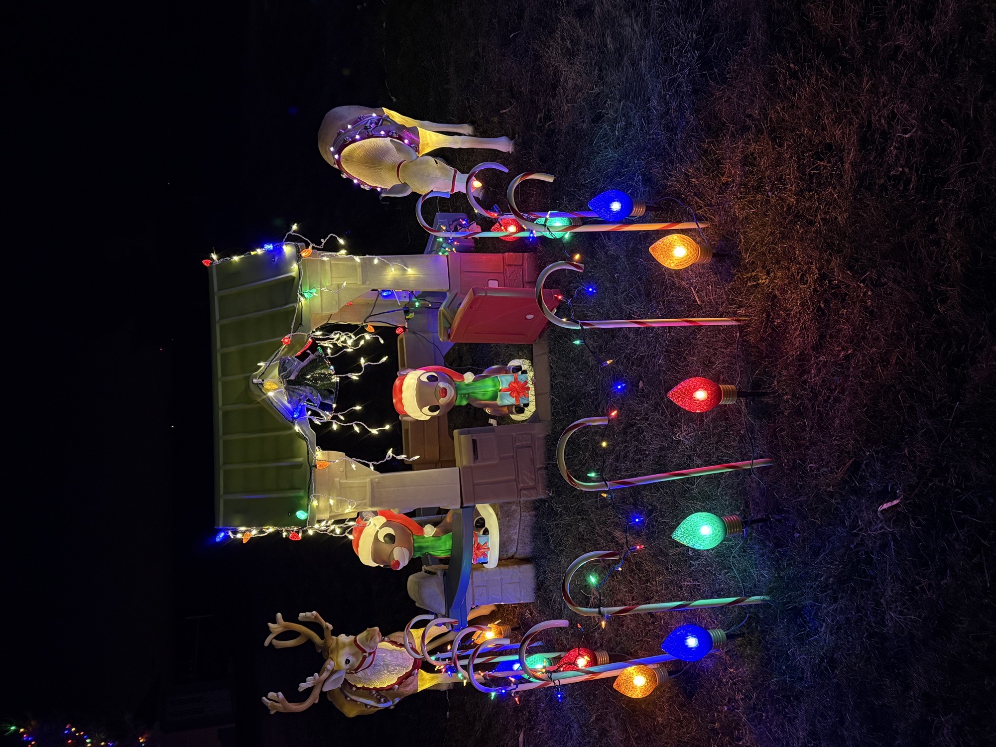 The Gillen Family Christmas Display, Christmas lights in Tuscola, IL (photo 3)