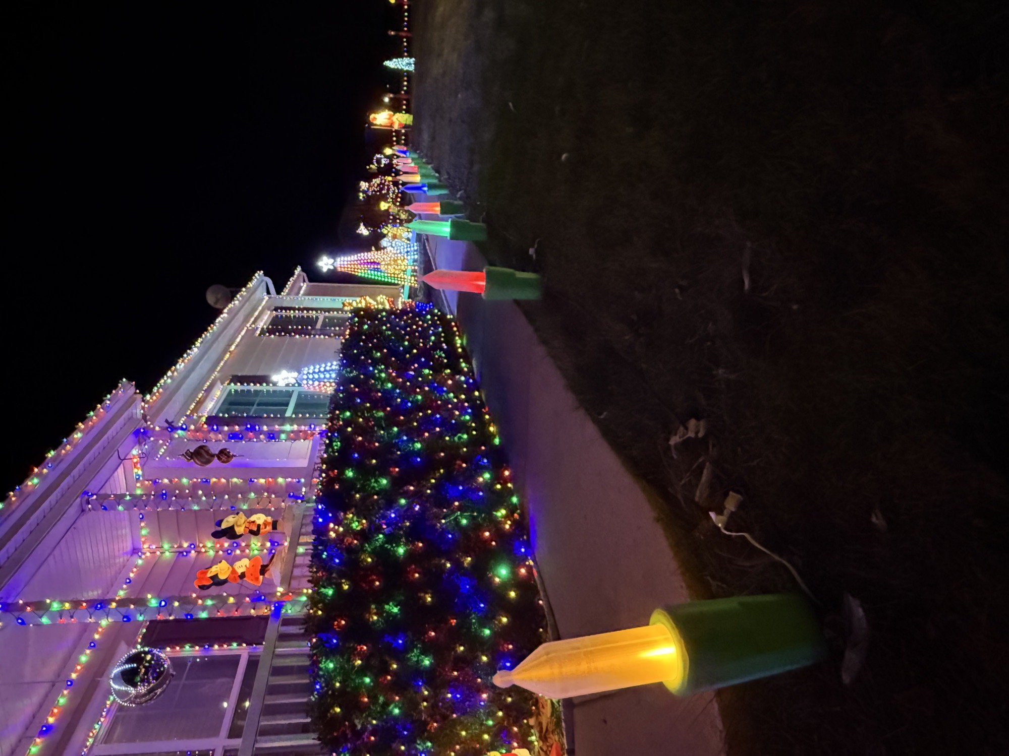 The Gillen Family Christmas Display, Christmas lights in Tuscola, IL (photo 5)