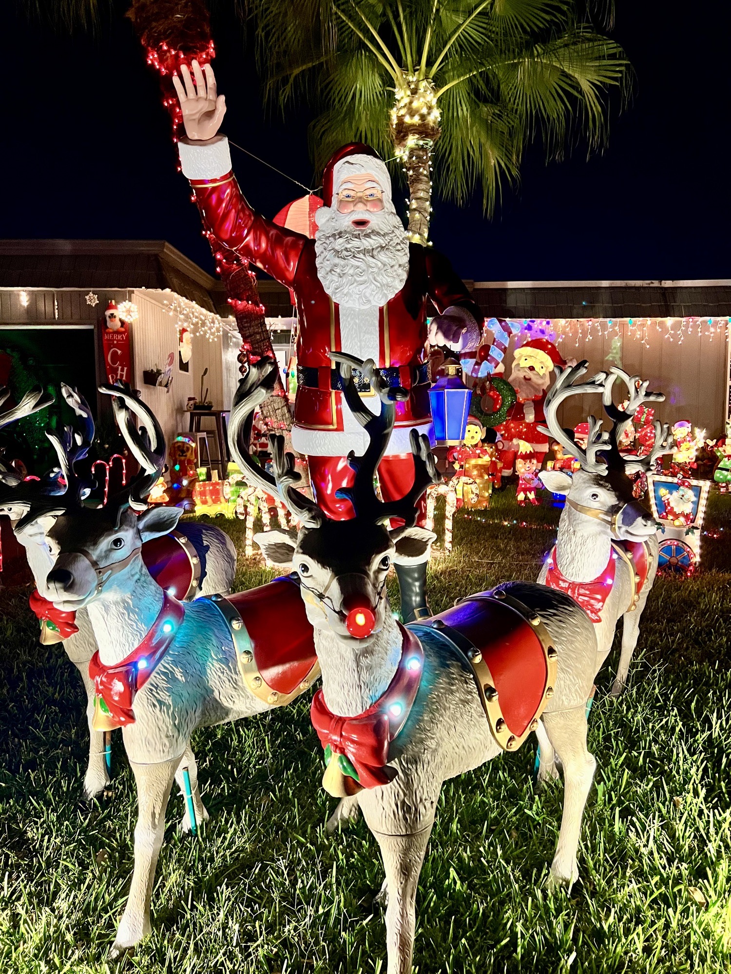Christmas In Tamarac, Christmas lights in Tamarac, FL (photo 5)