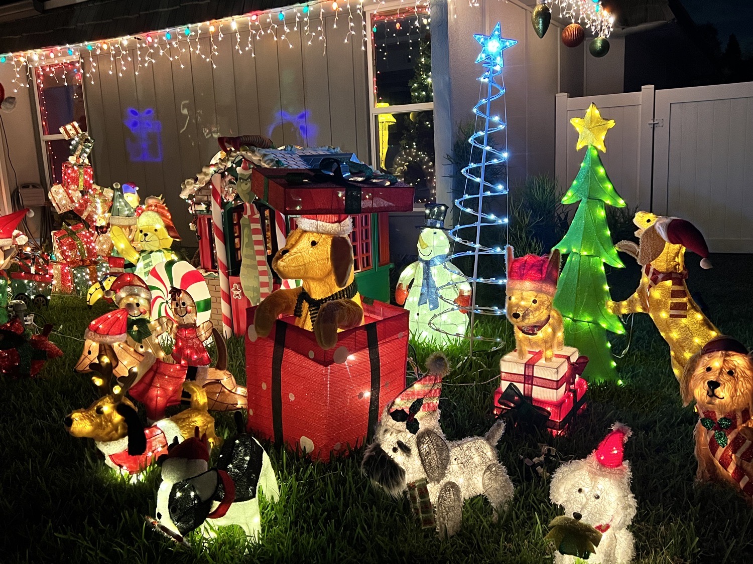 Christmas In Tamarac, Christmas lights in Tamarac, FL (photo 4)