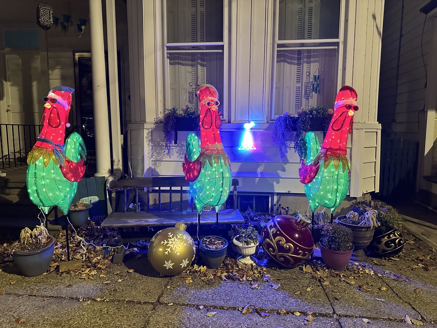 12 Days-3 French Hens, Christmas lights in Bristol, PA (photo 1)
